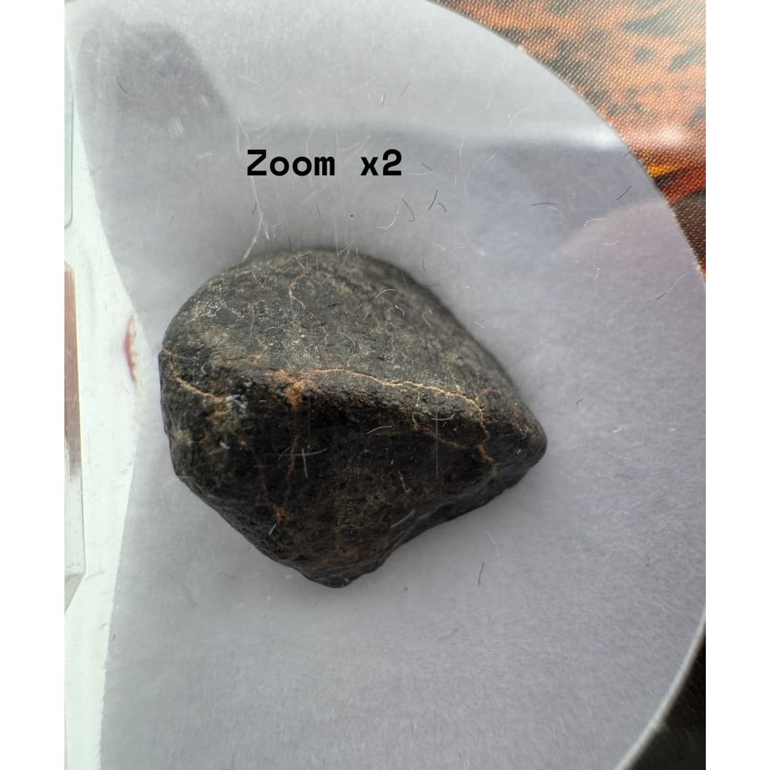 Météorite NWA 869 - Chondrite Bréchique L3-6 (Sahara)