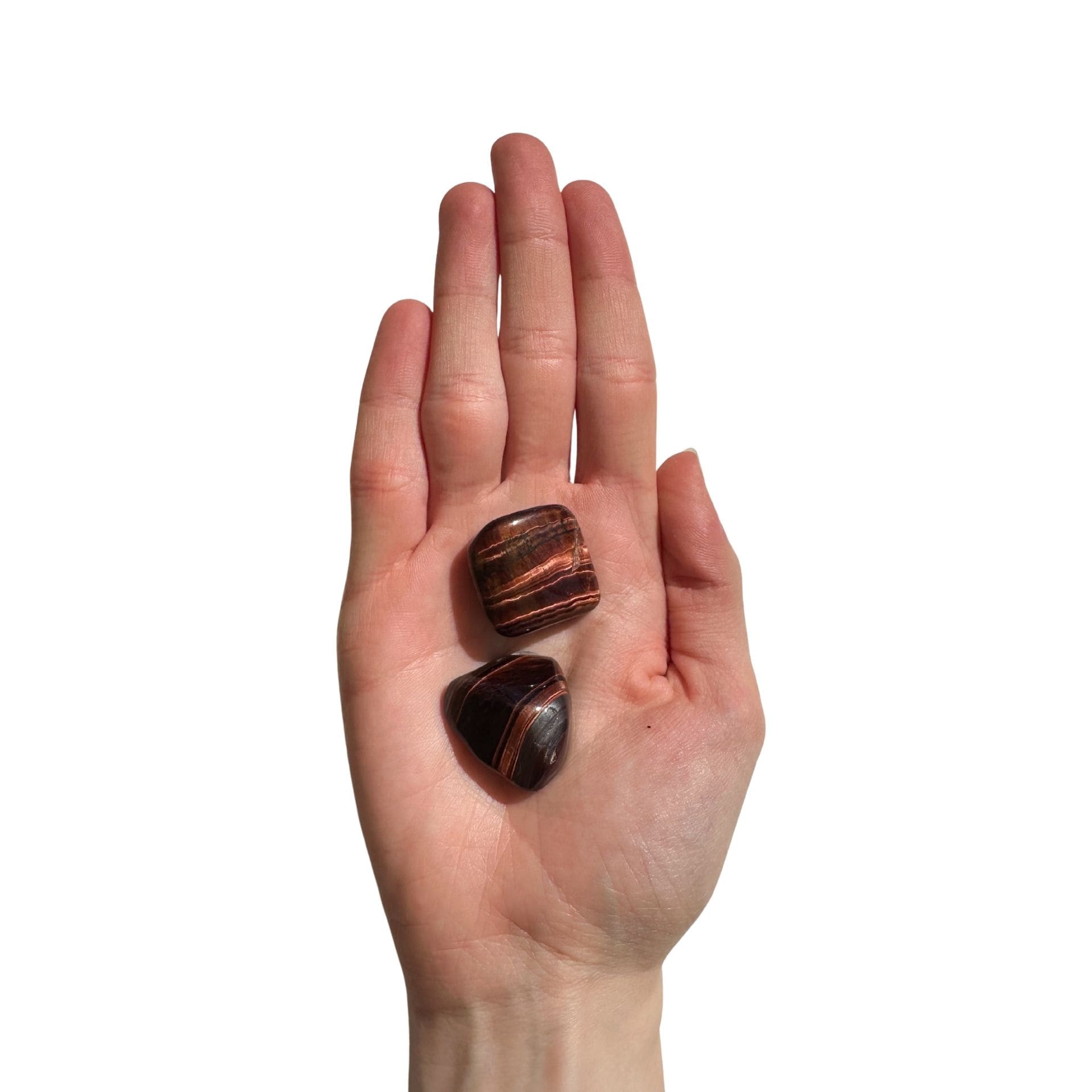 Œil de Taureau mains