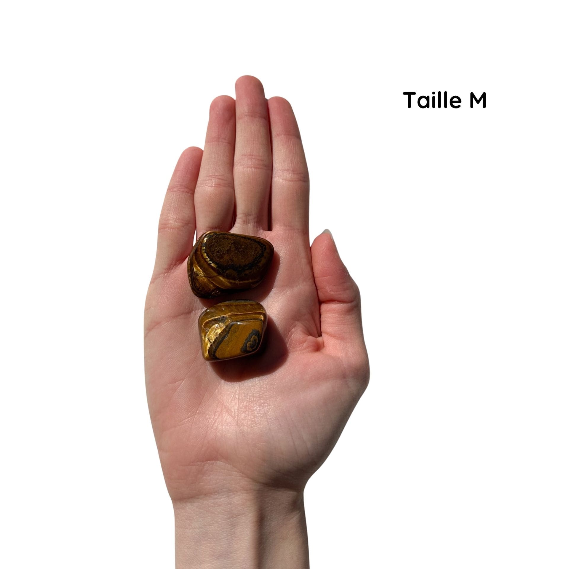 Oeil de Tigre M
