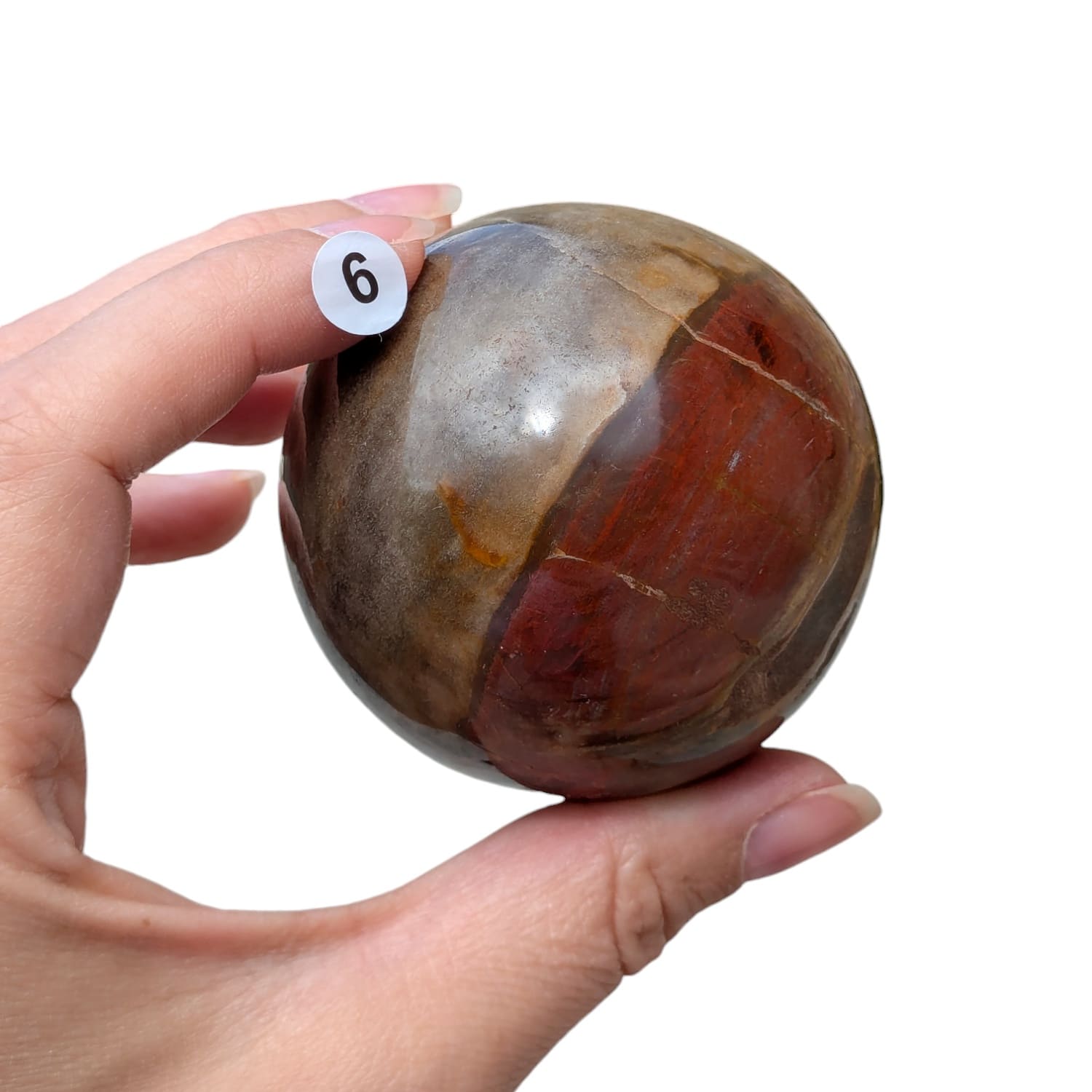 bois fossile sphere