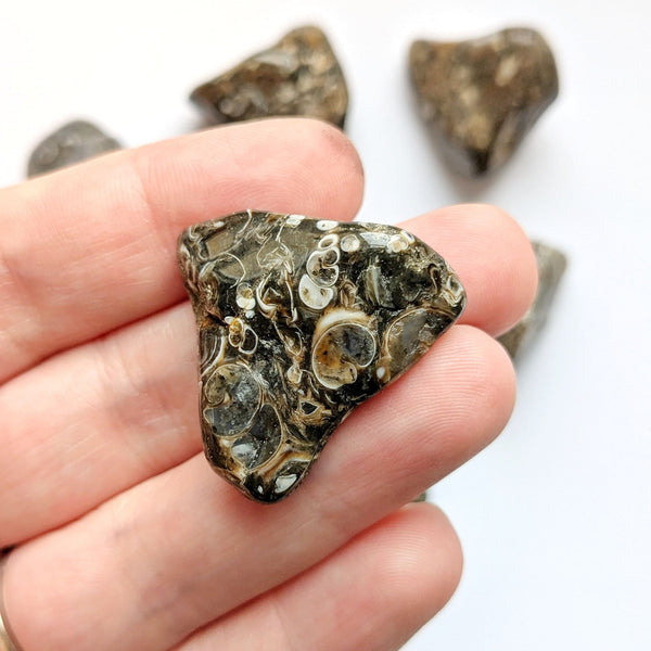 Bijoux et pierres en agate turitelle