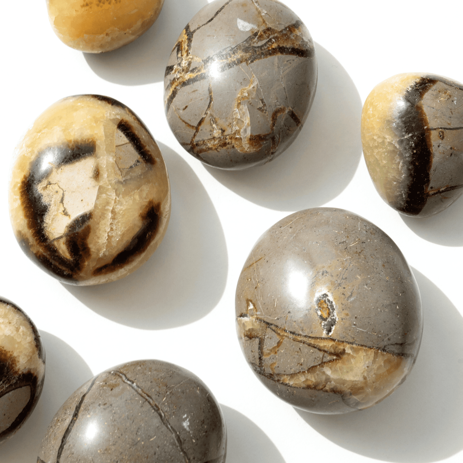 Pierres et objets en Septaria