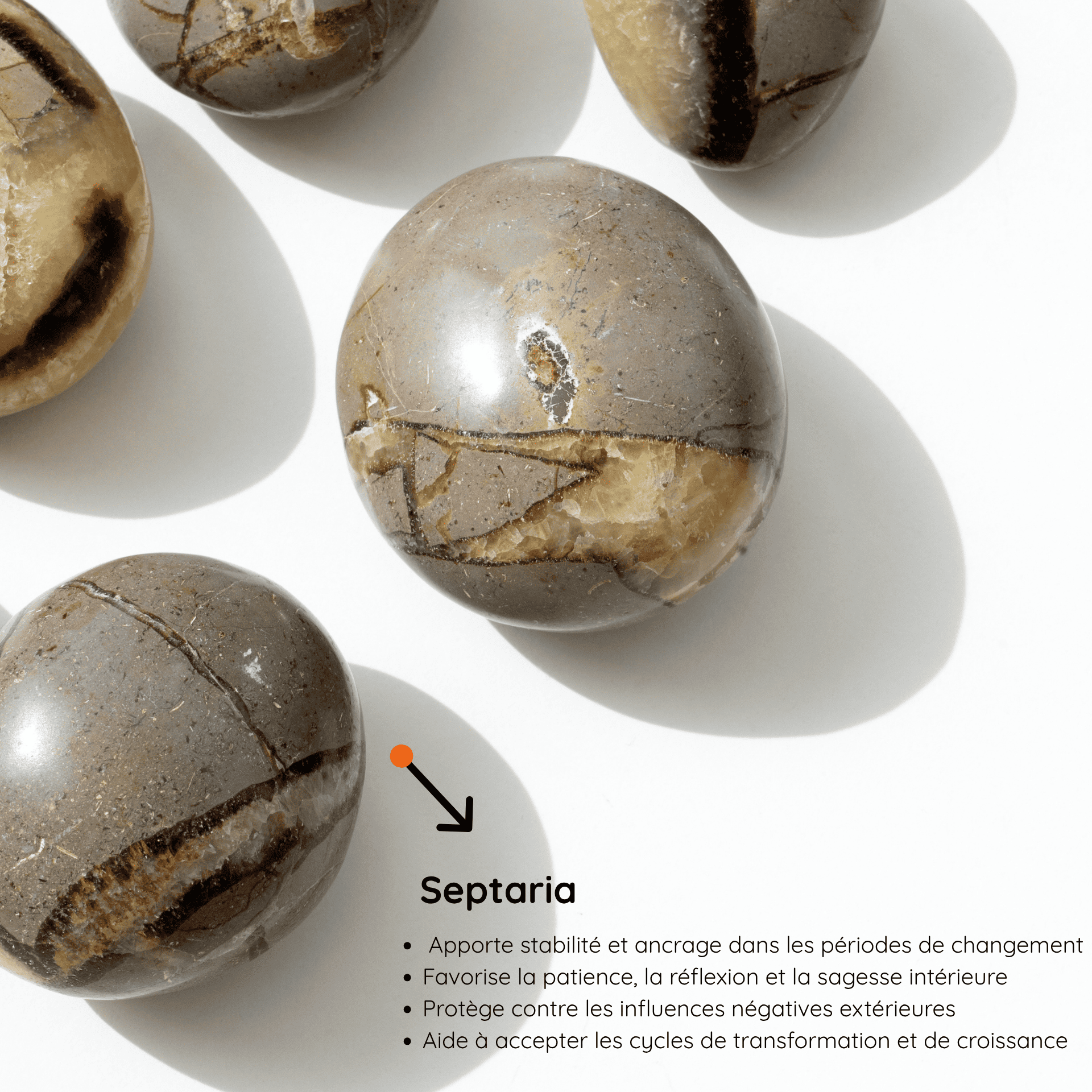Galet Septaria vertus