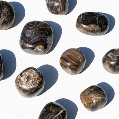  Stromatolite zoom