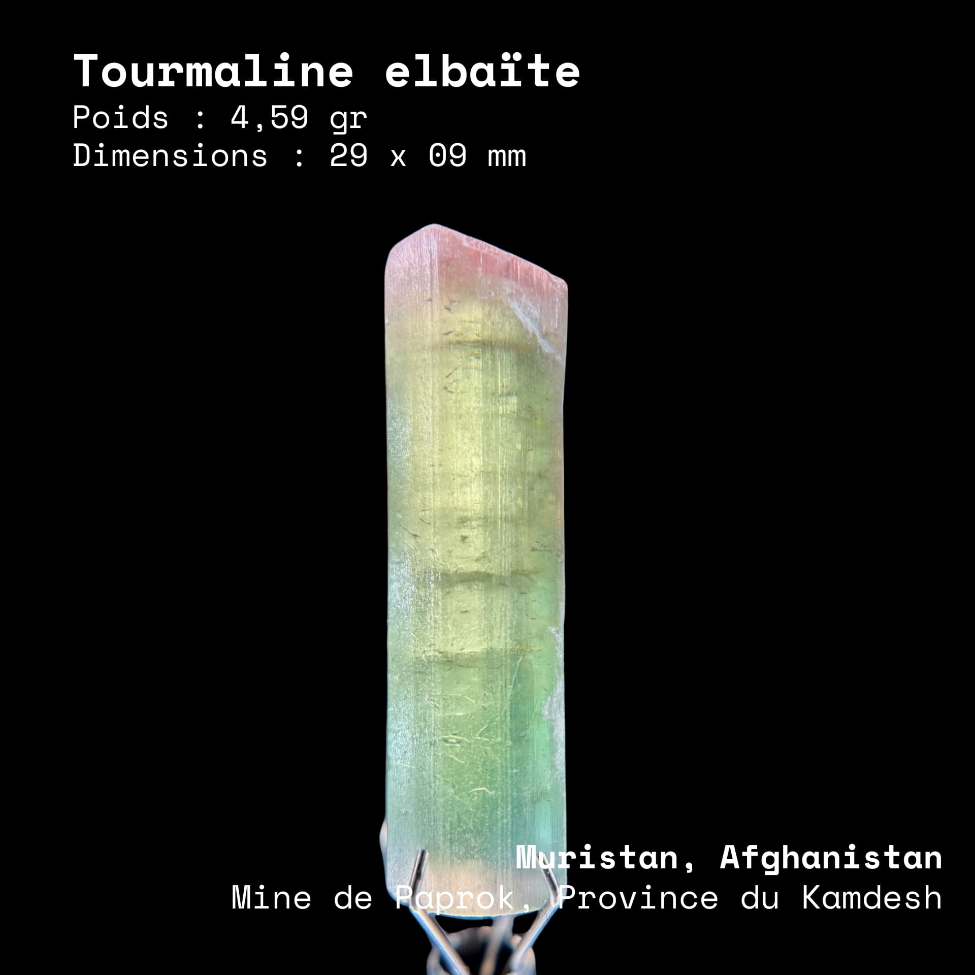 Tourmaline Elbaïte Watermelon (4,59g) - Paprok
