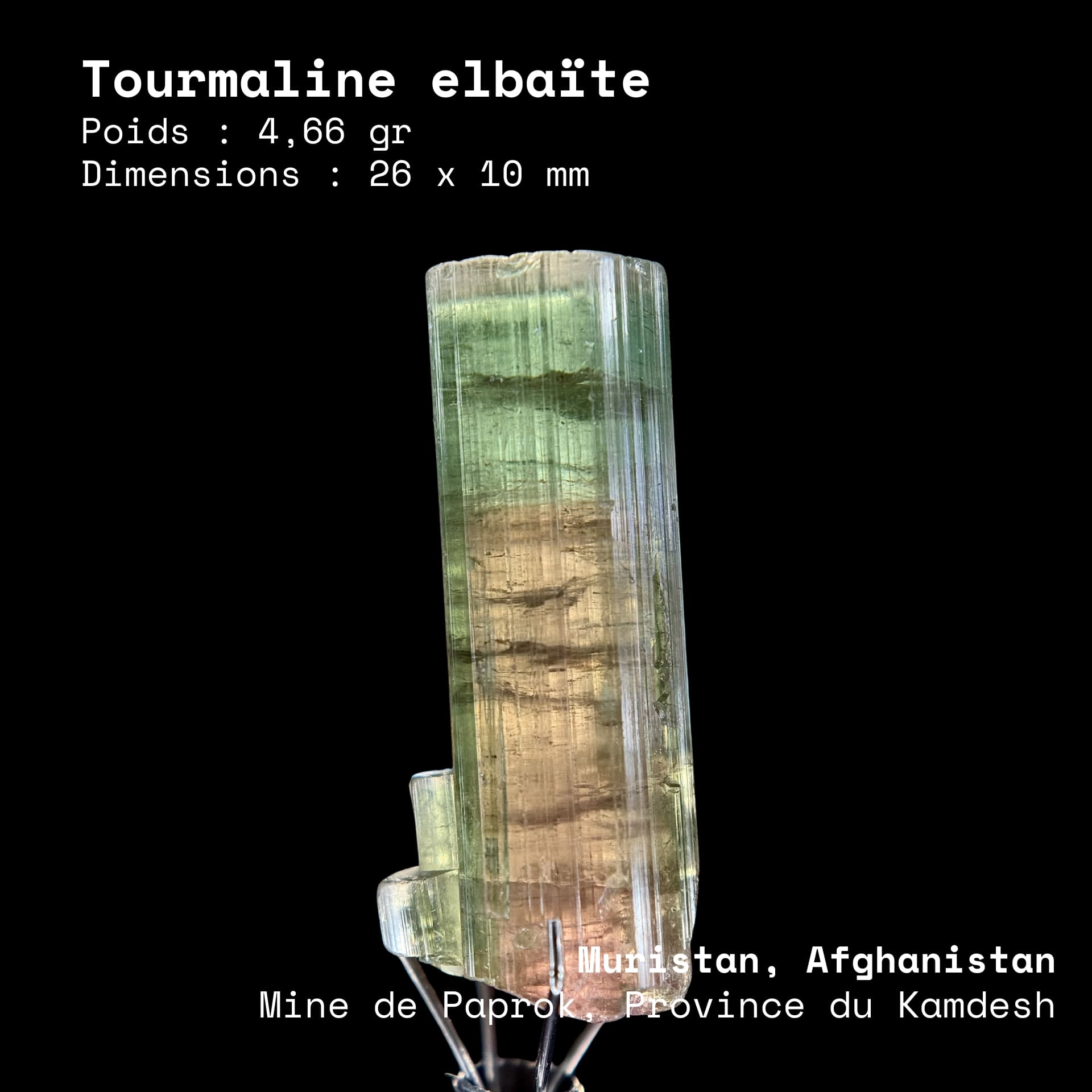 Tourmaline Elbaïte Watermelon (4,66g) - Paprok