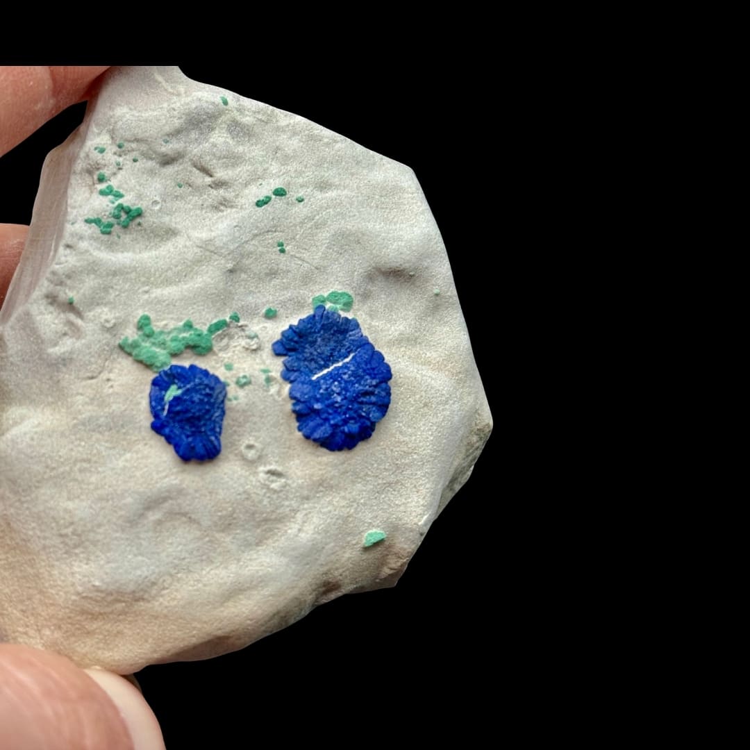 Duo d'Azurite "Soleil" et Malachite sur Matrice - Australie #02