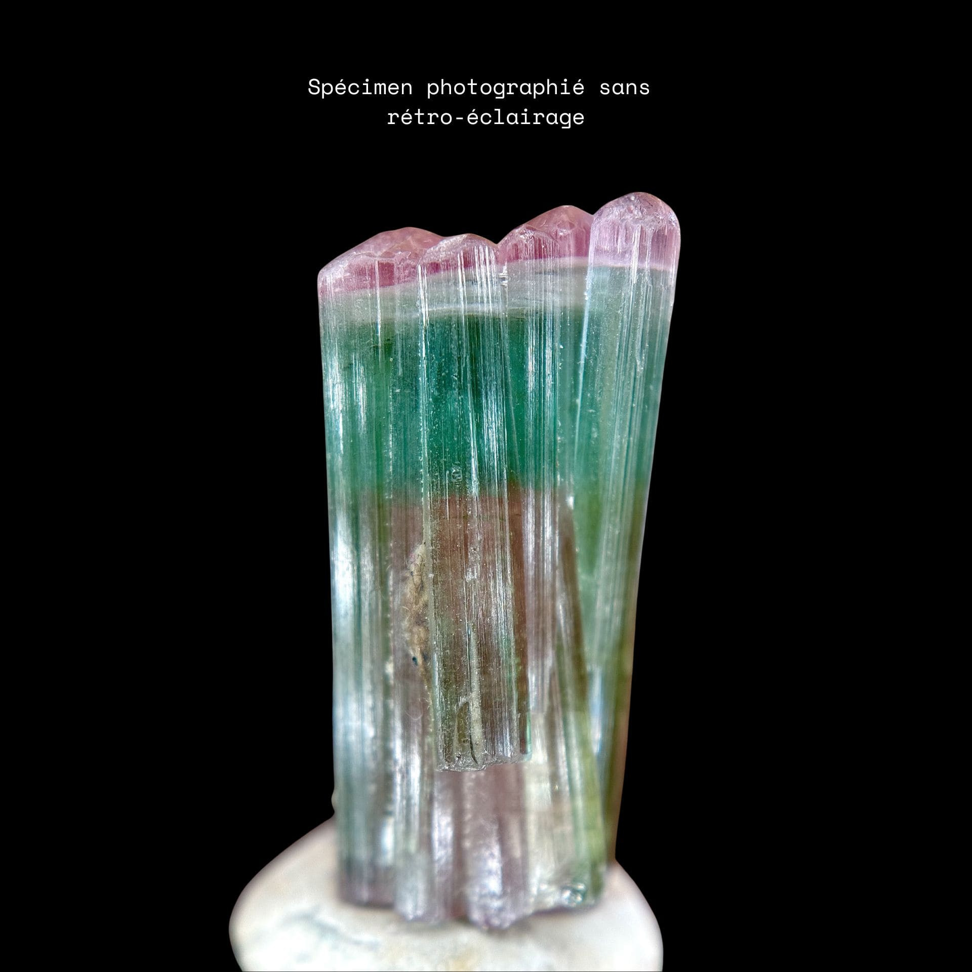 Tourmaline Gemme Polychrome (9,33g) - Paprok