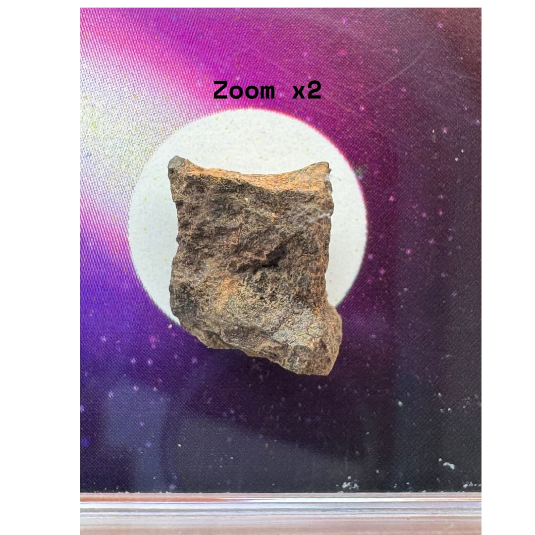 Fragment de Météorite Commune NWA - Chondrite du Sahara