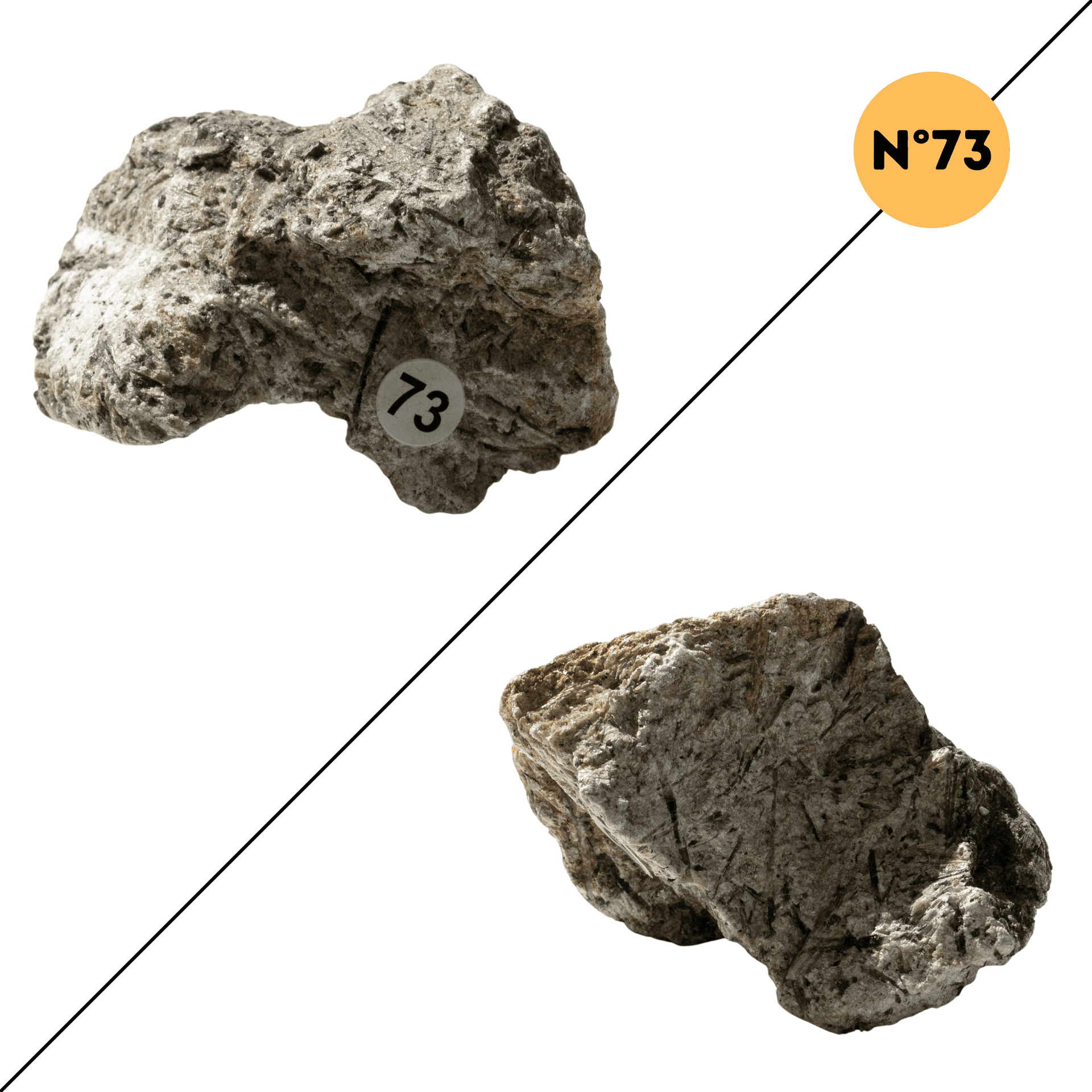 Actinolite – Protection et Stabilité Emotionnelle