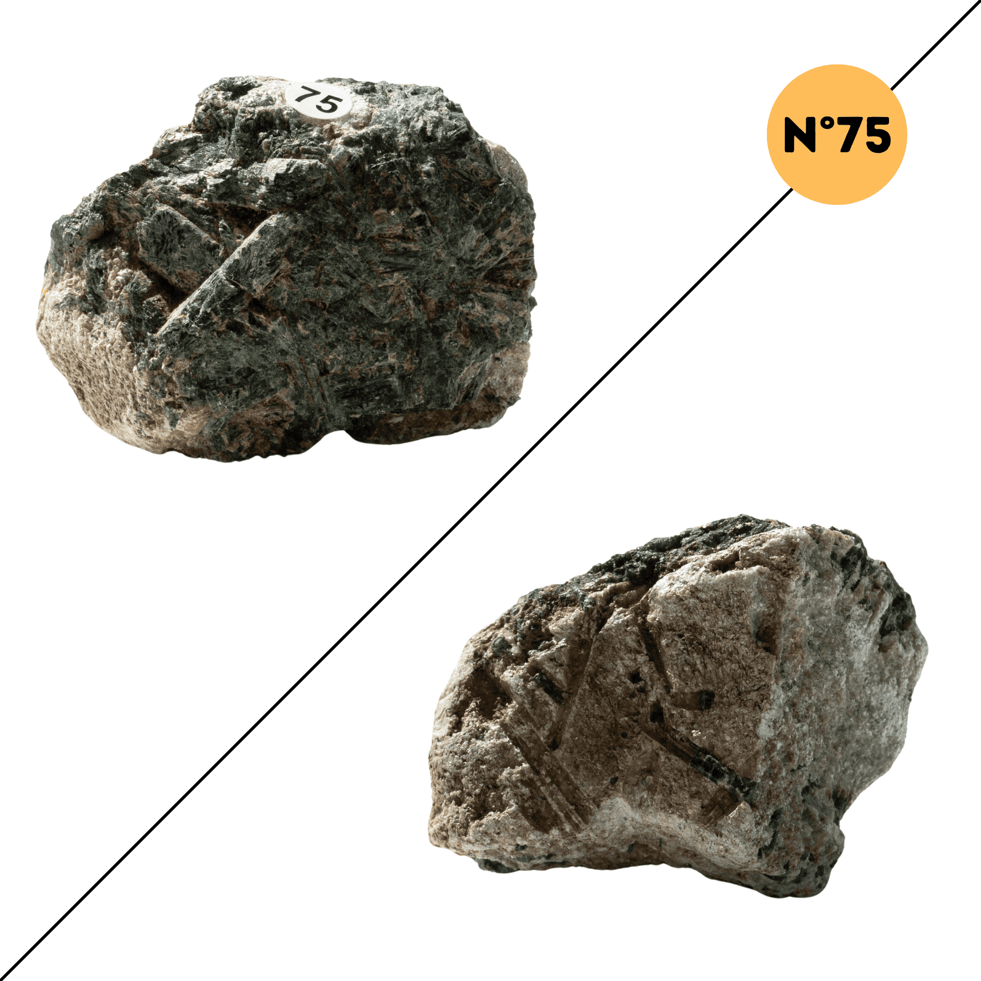 Actinolite – Protection et Stabilité Emotionnelle