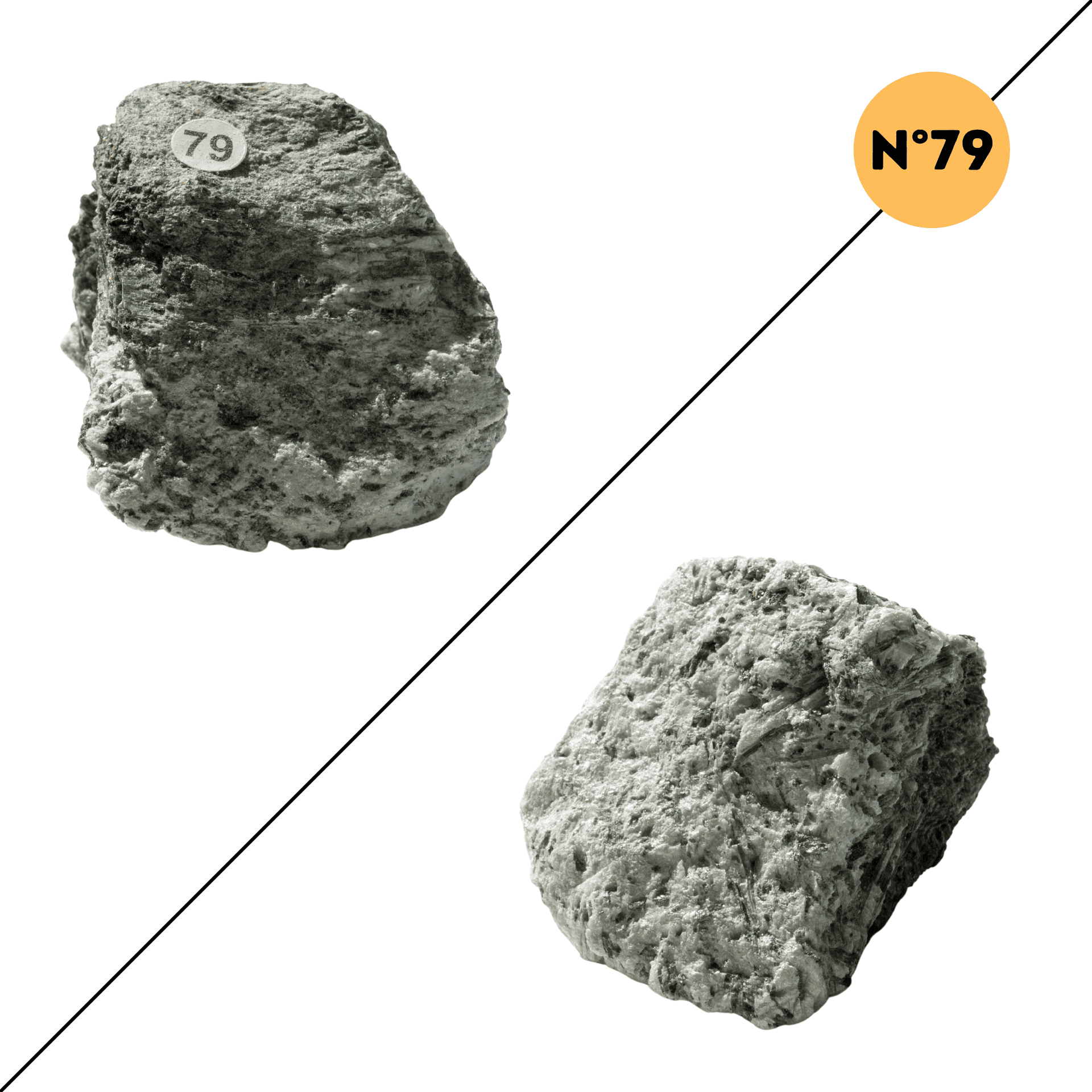 Actinolite – Protection et Stabilité Emotionnelle