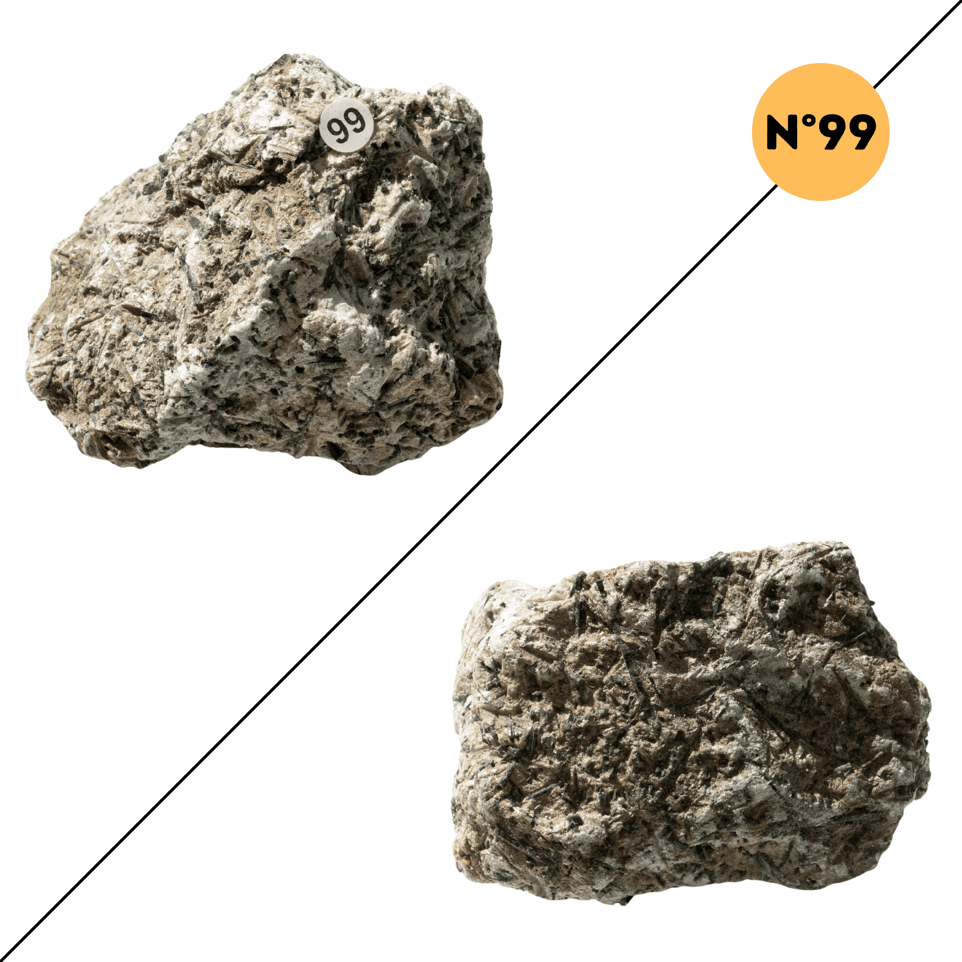 Actinolite – Protection et Stabilité Emotionnelle