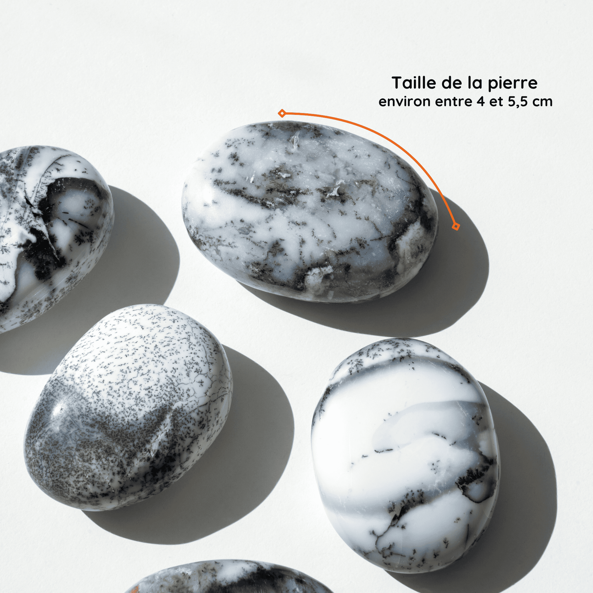 Galet Agate Dendritique blanche taille