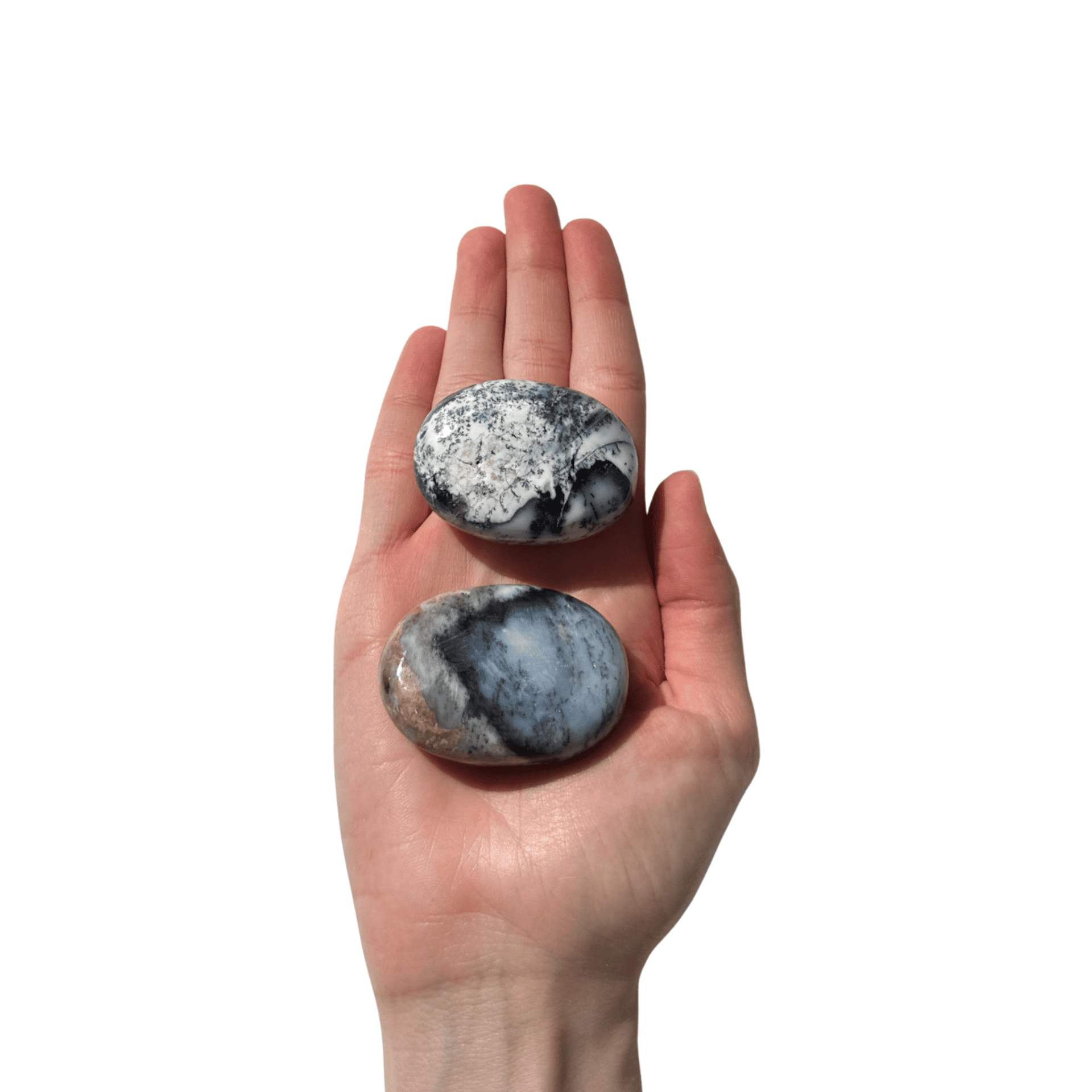 Galet Agate Dendritique blanche mains