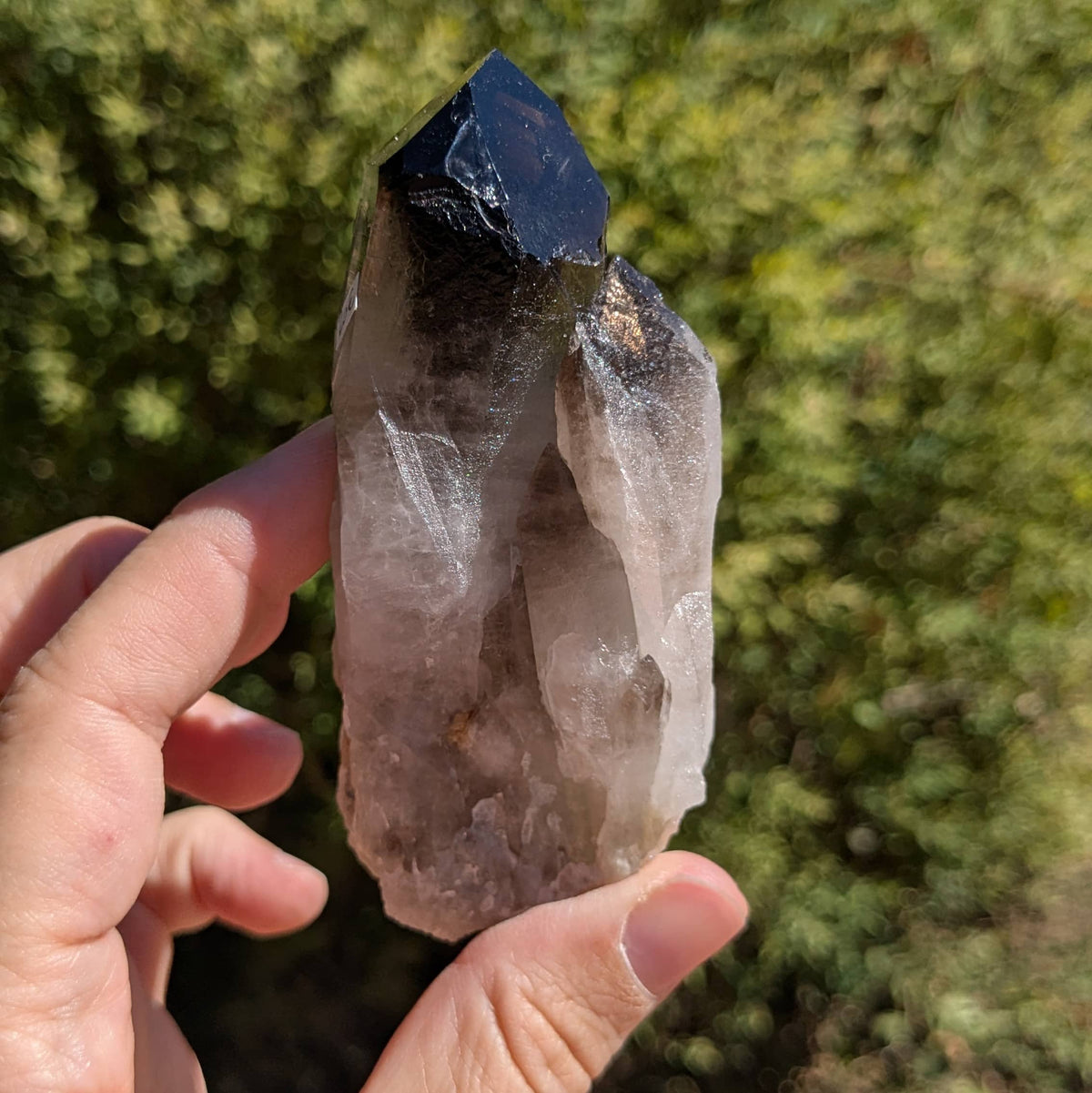 Amas Quartz fumé n°59