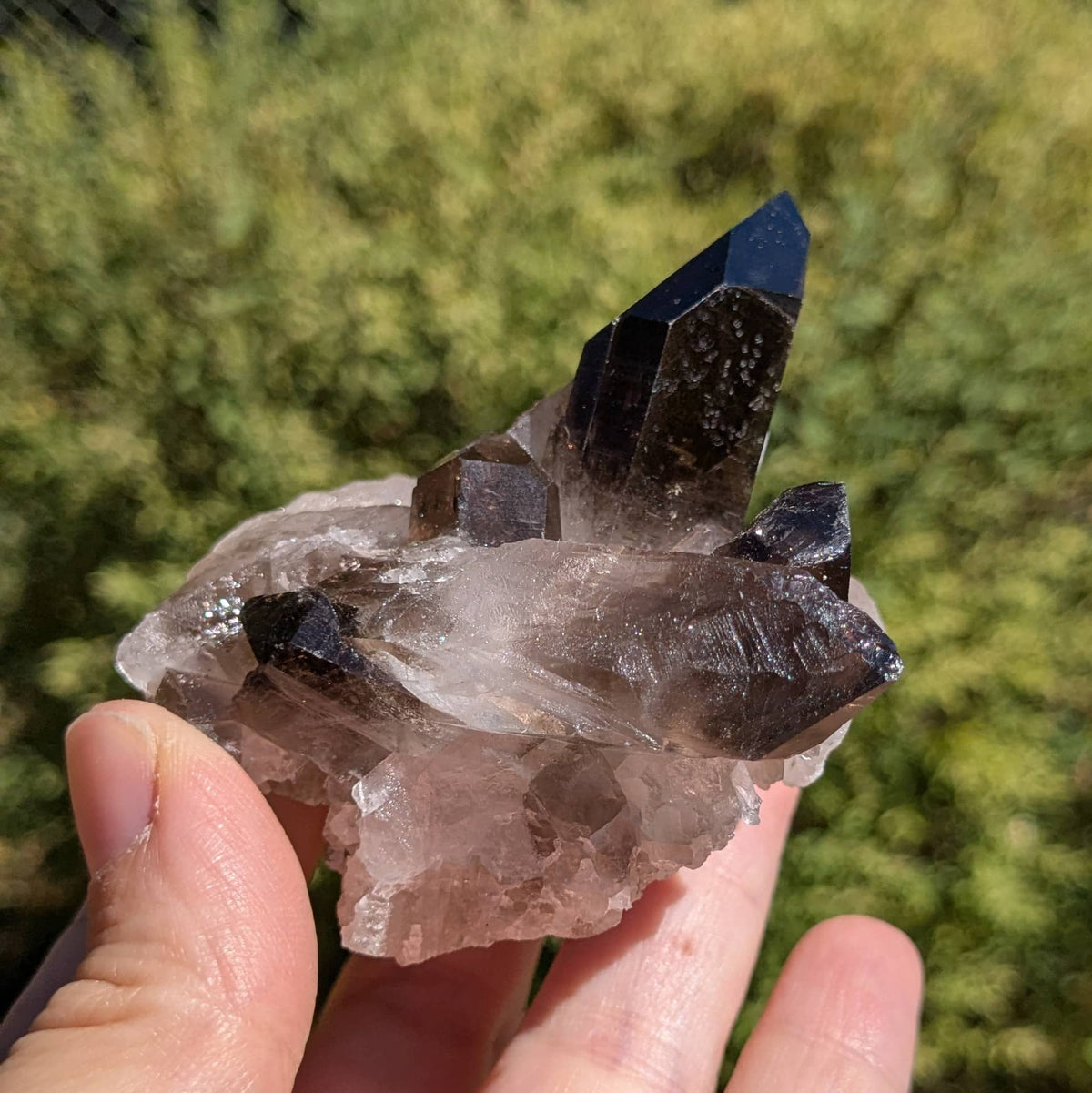 Amas quartz fumé n°58