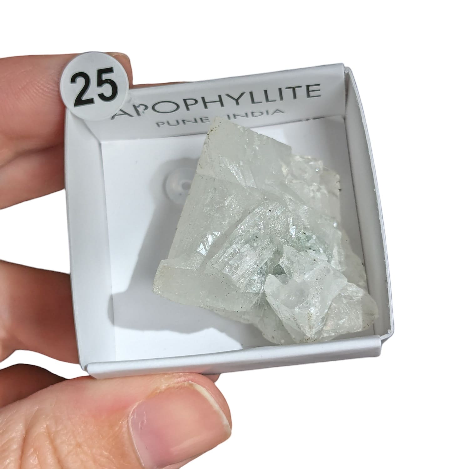 Apophyllite