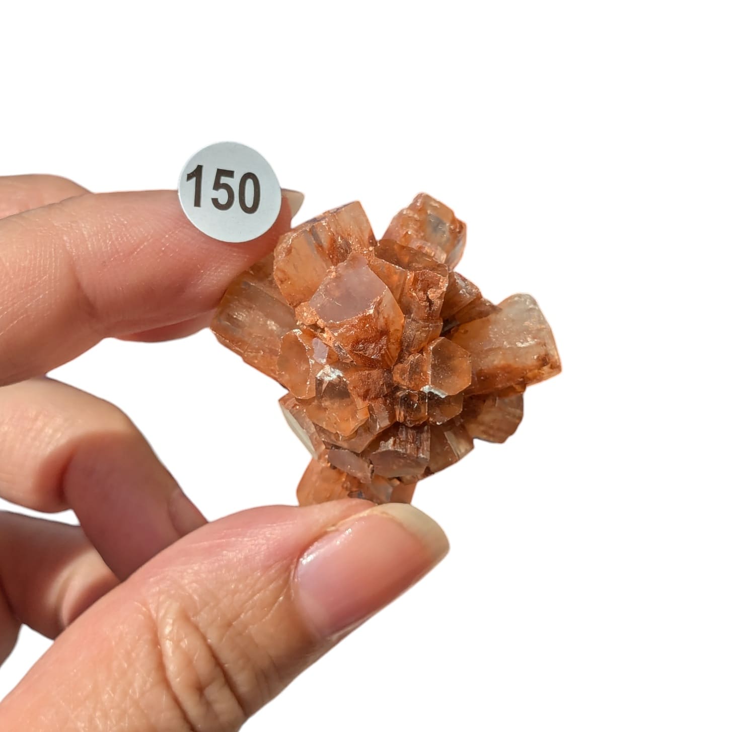 Pierre Aragonite