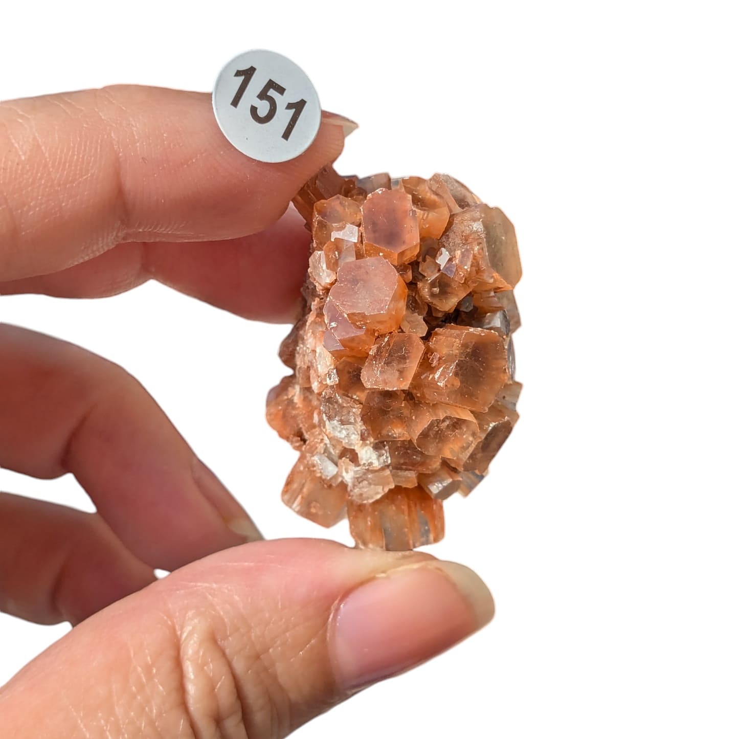 Pierre Aragonite