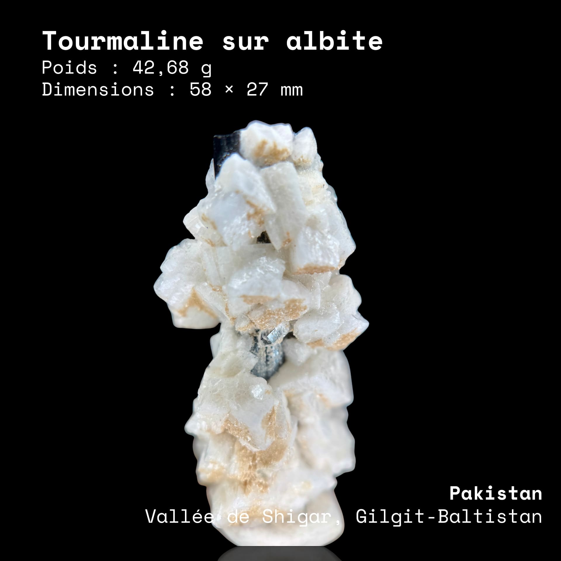Tourmaline sur albite N°28