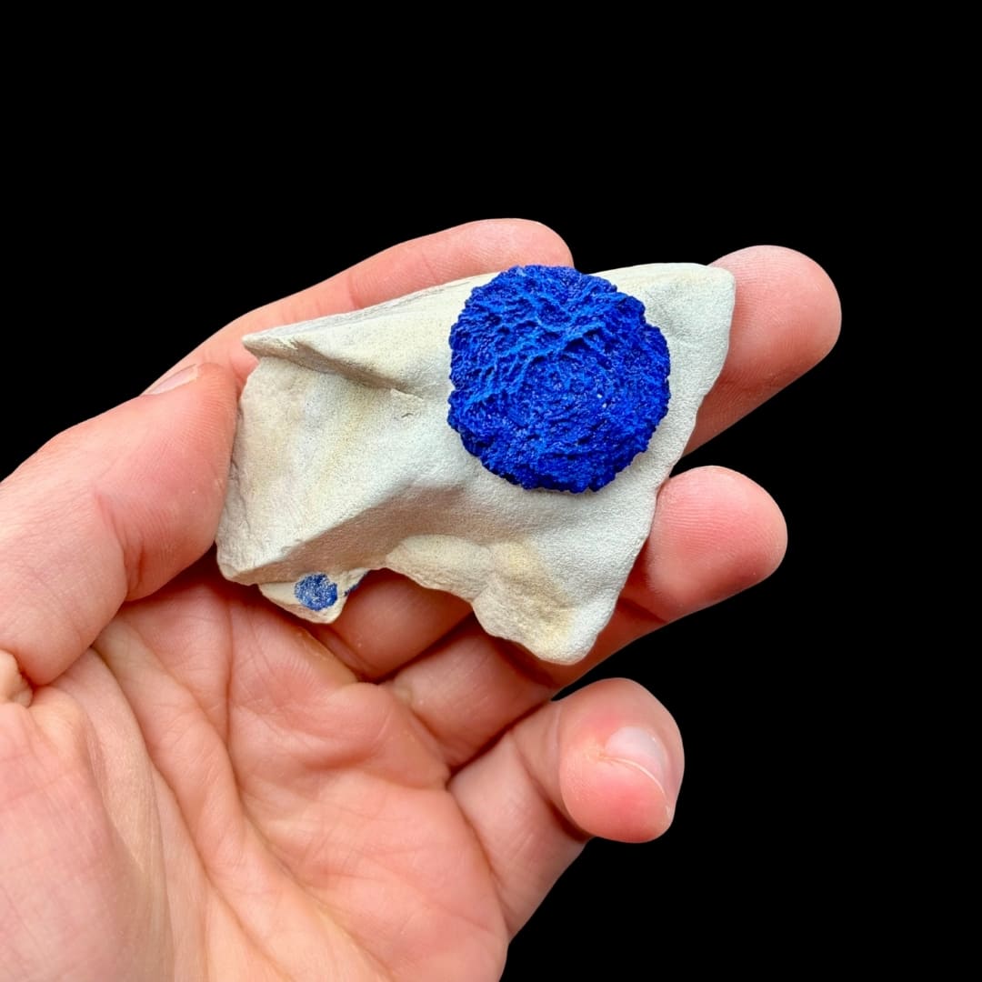 Azurite "Soleil" Solitaire sur Matrice Blanche - Australie #03