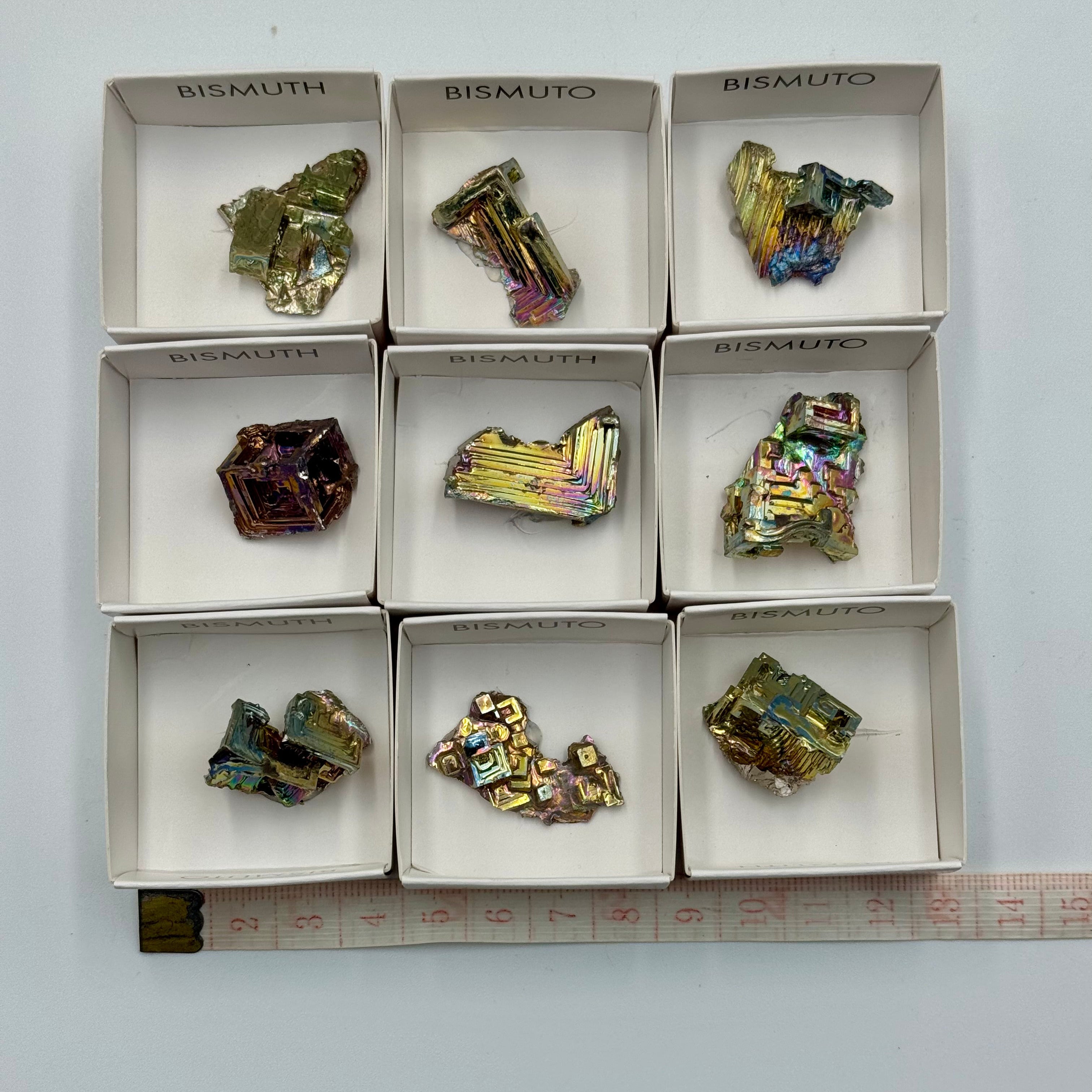 Lot 9 bismuths