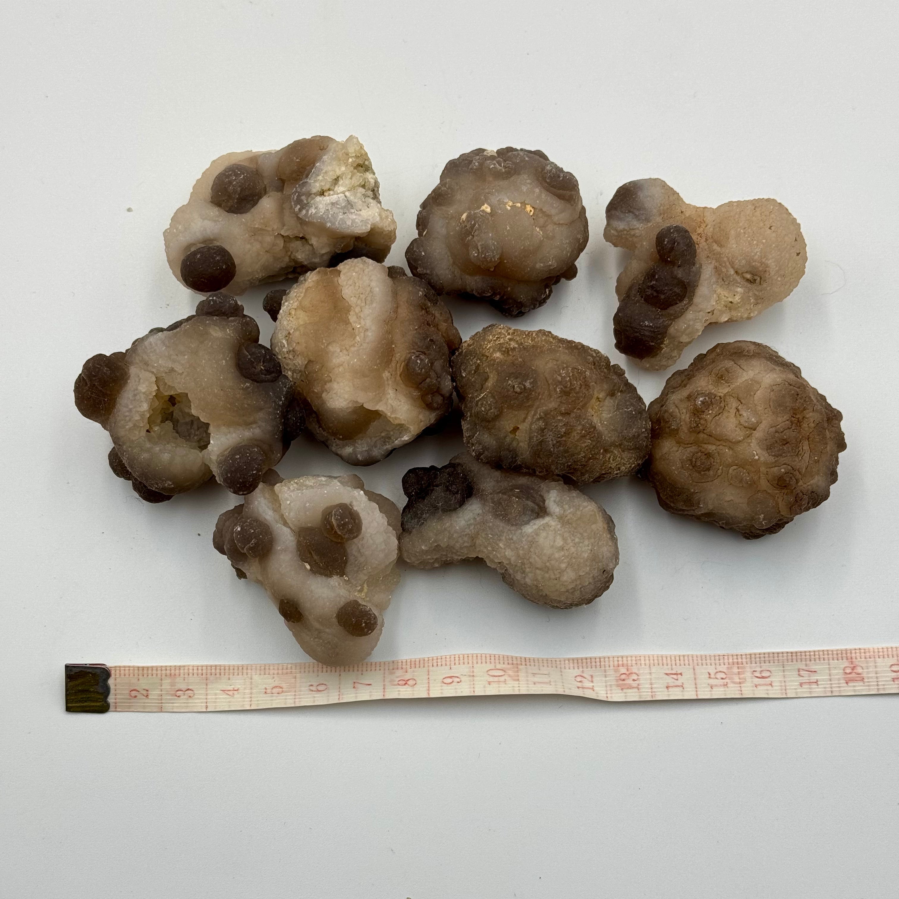 Lot 9 agates nodules