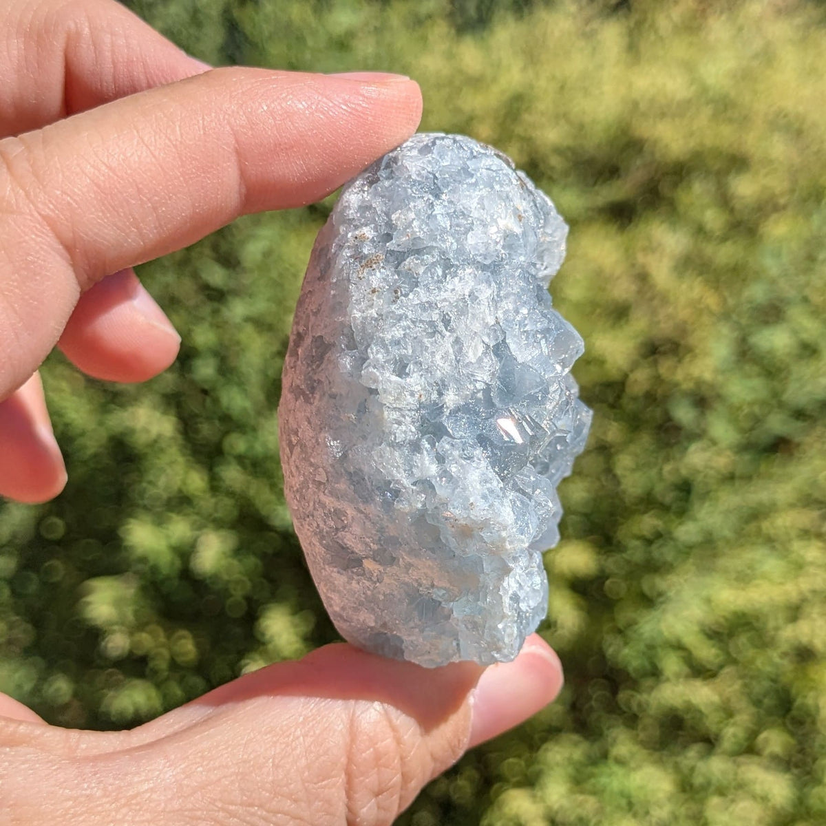 Oeuf Celestine