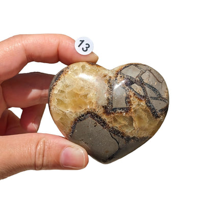 Cœur Septaria – Stabilité et Transformation