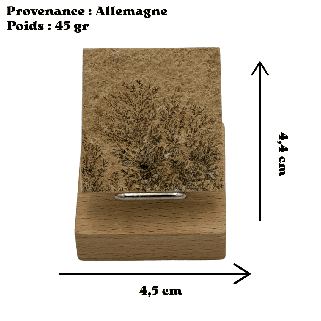 Dendrite sur calcaire