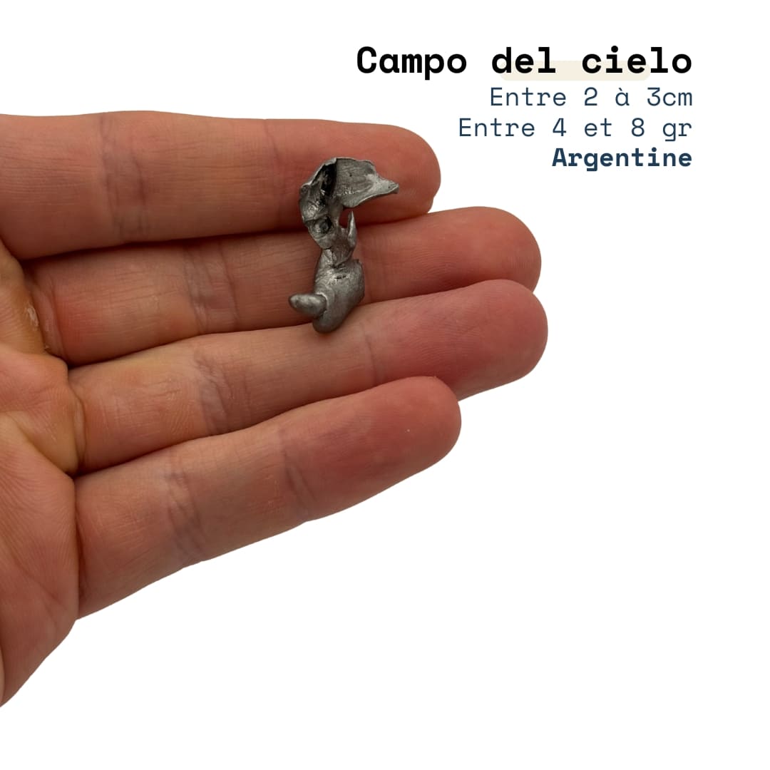 Météorite Campo del Cielo - Fragment de Fer (Argentine)