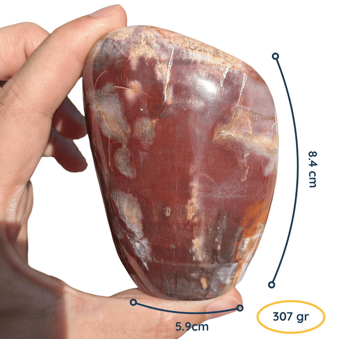 gros bloc bois fossile