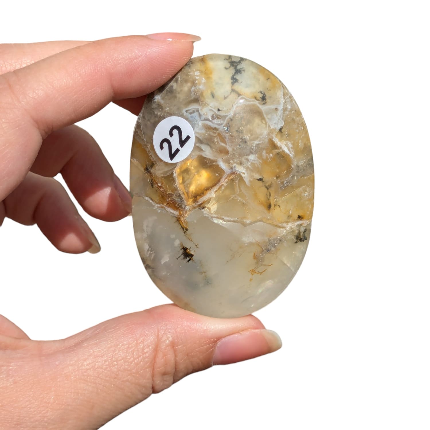 Galet agate dendritique