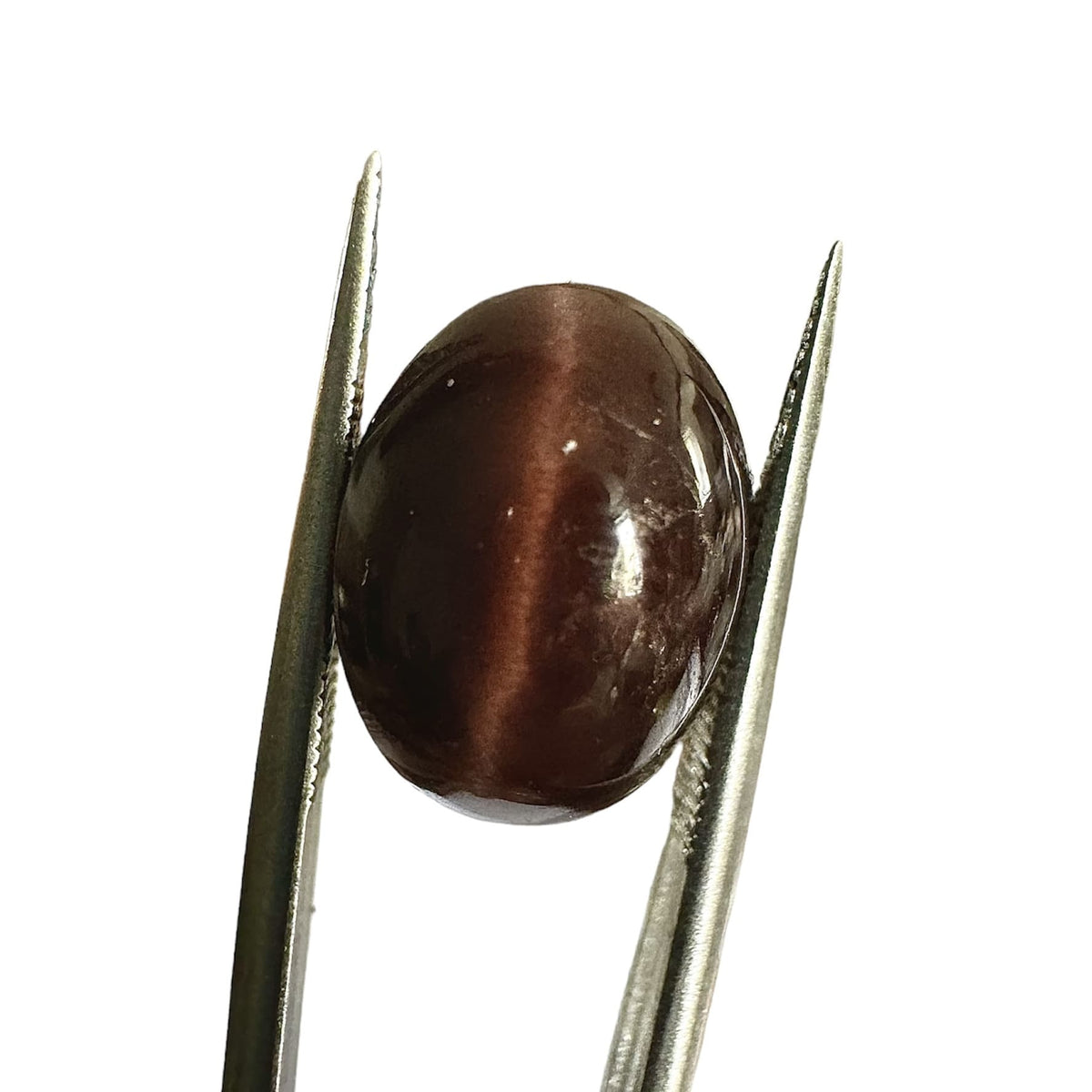 Gemme de Spectrolite oeil de chat