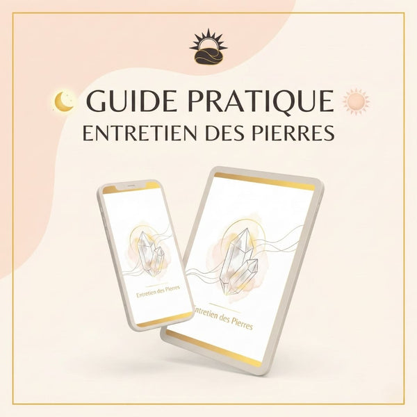 Purifier & Recharger sans risque - EBOOK
