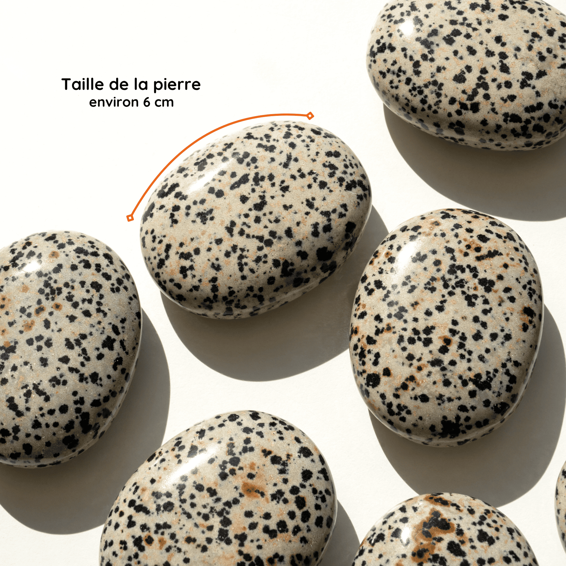 Galet Jaspe Dalmatien taille