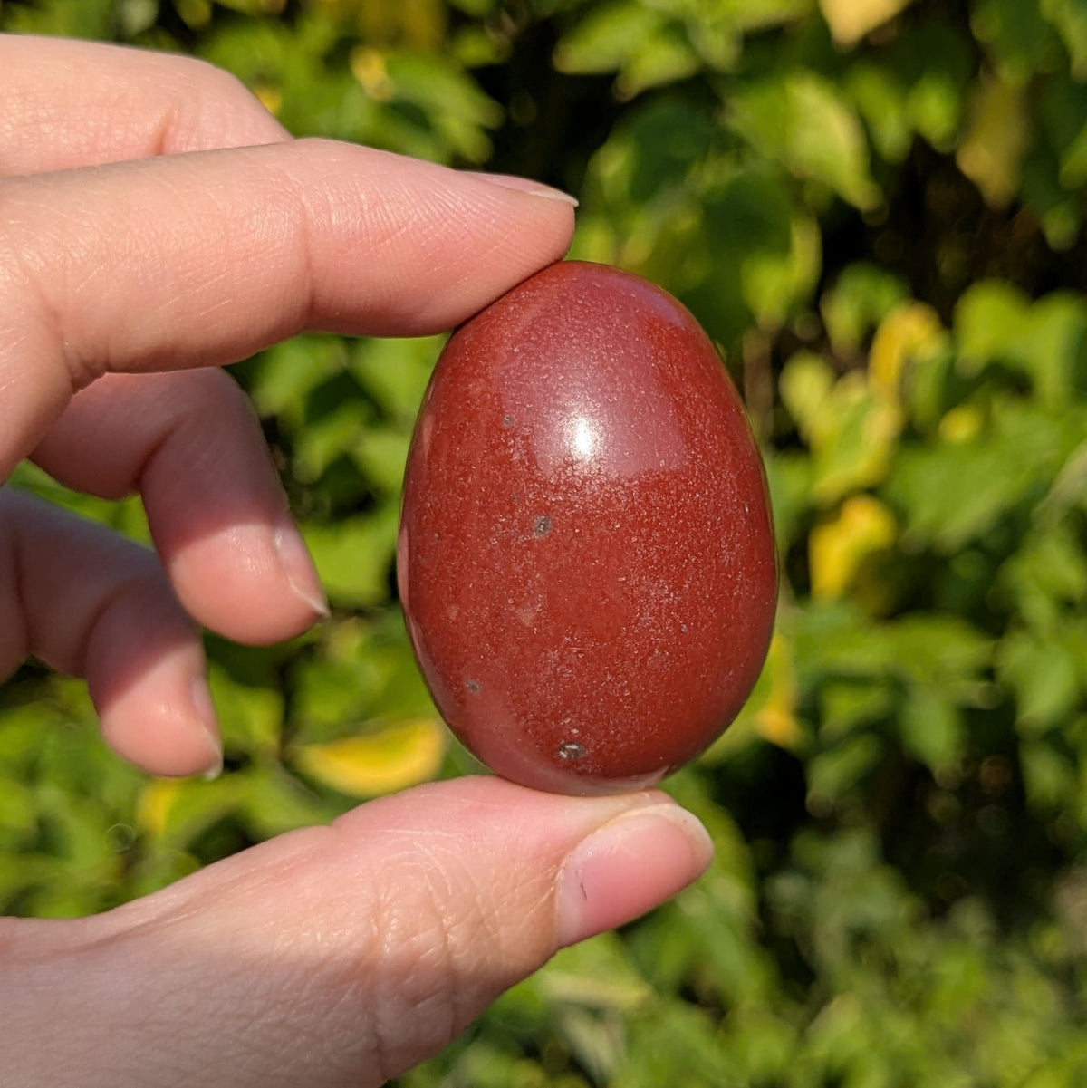 Oeuf Jaspe rouge