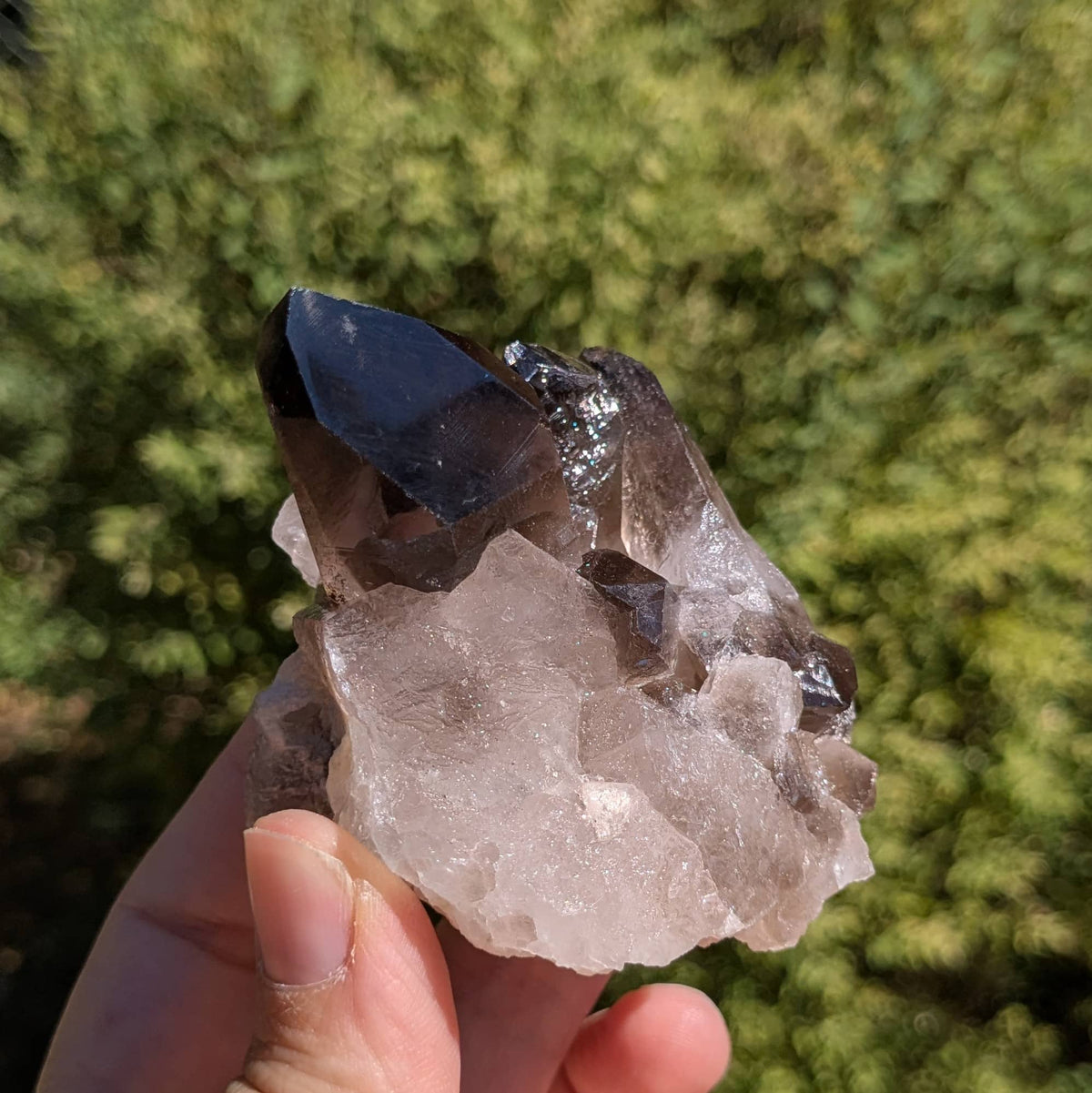 Amas quartz fumé n°58