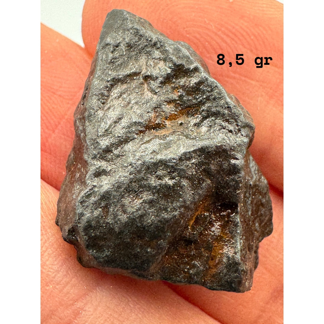 Météorite de Fer Nantan 8.5g - Chute Historique (Chine 1516)