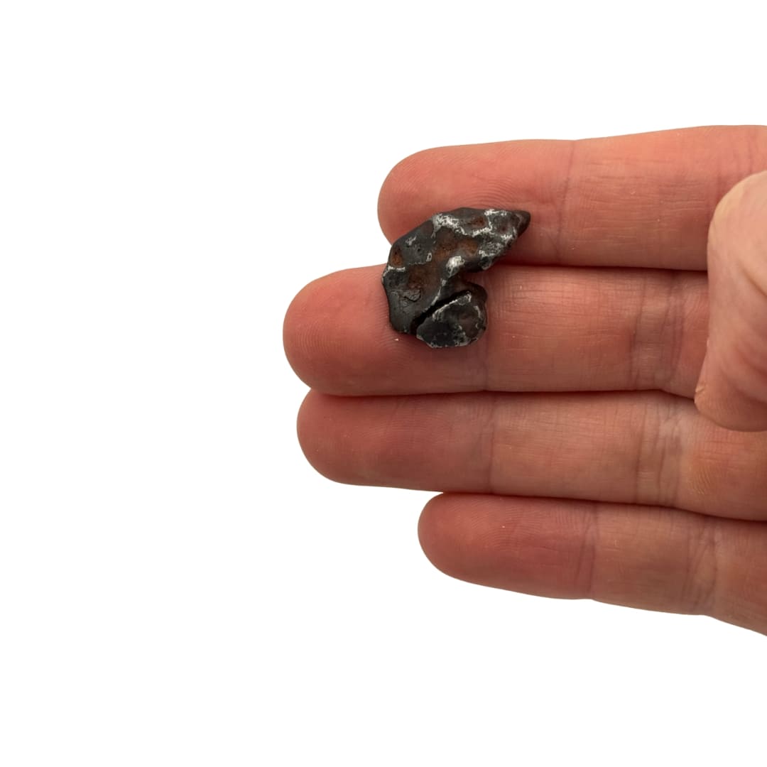 Météorite Canyon Diablo 7.8g - Fragment Unique (Meteor Crater)