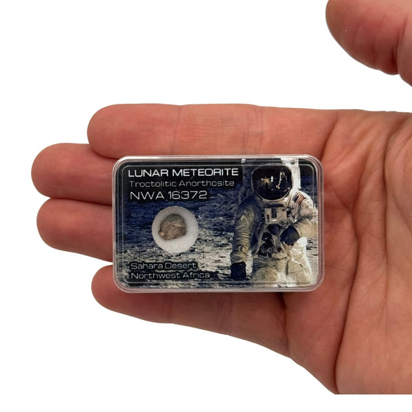 Météorite lunaire rare