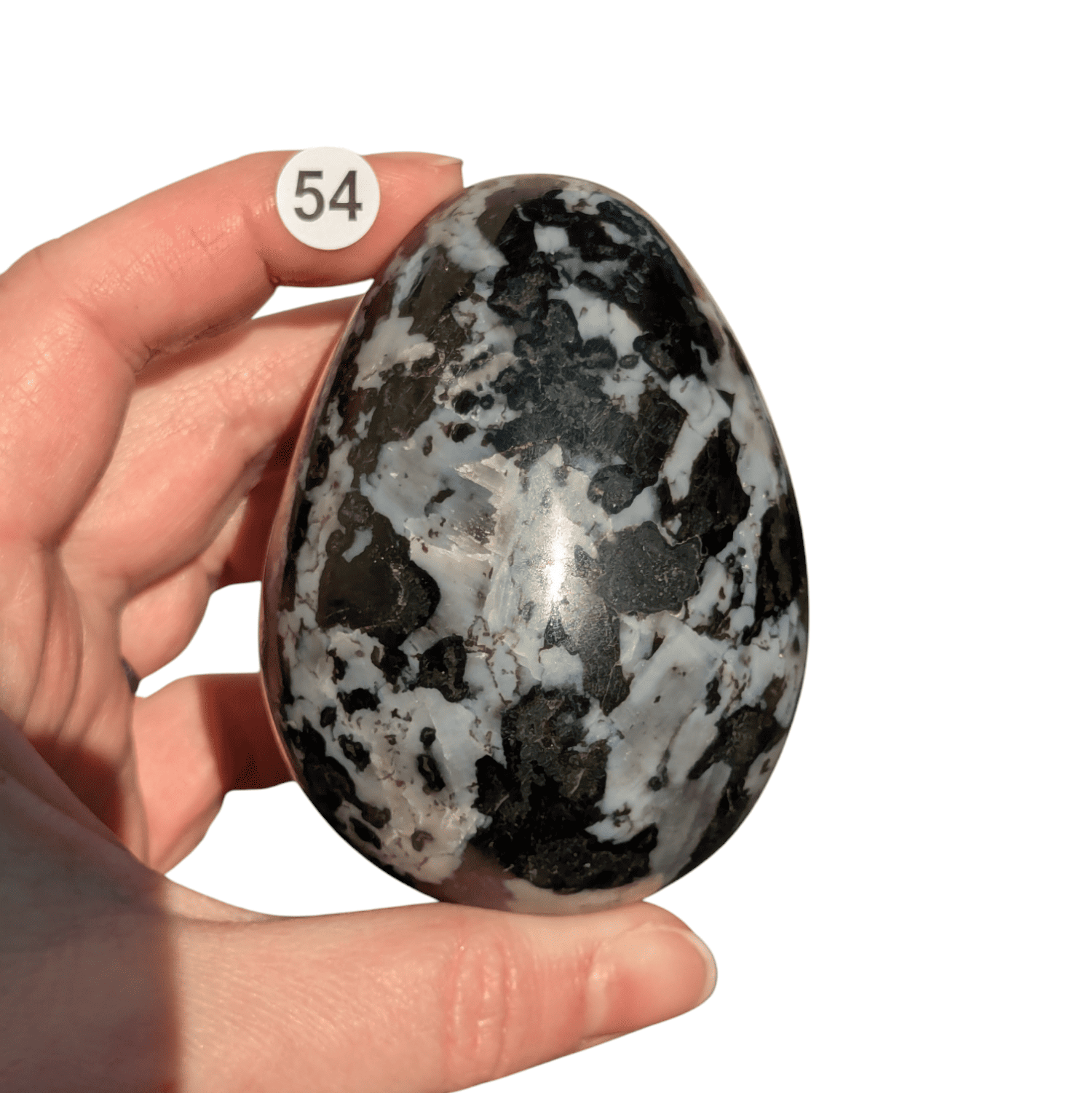 Oeuf Gabbro