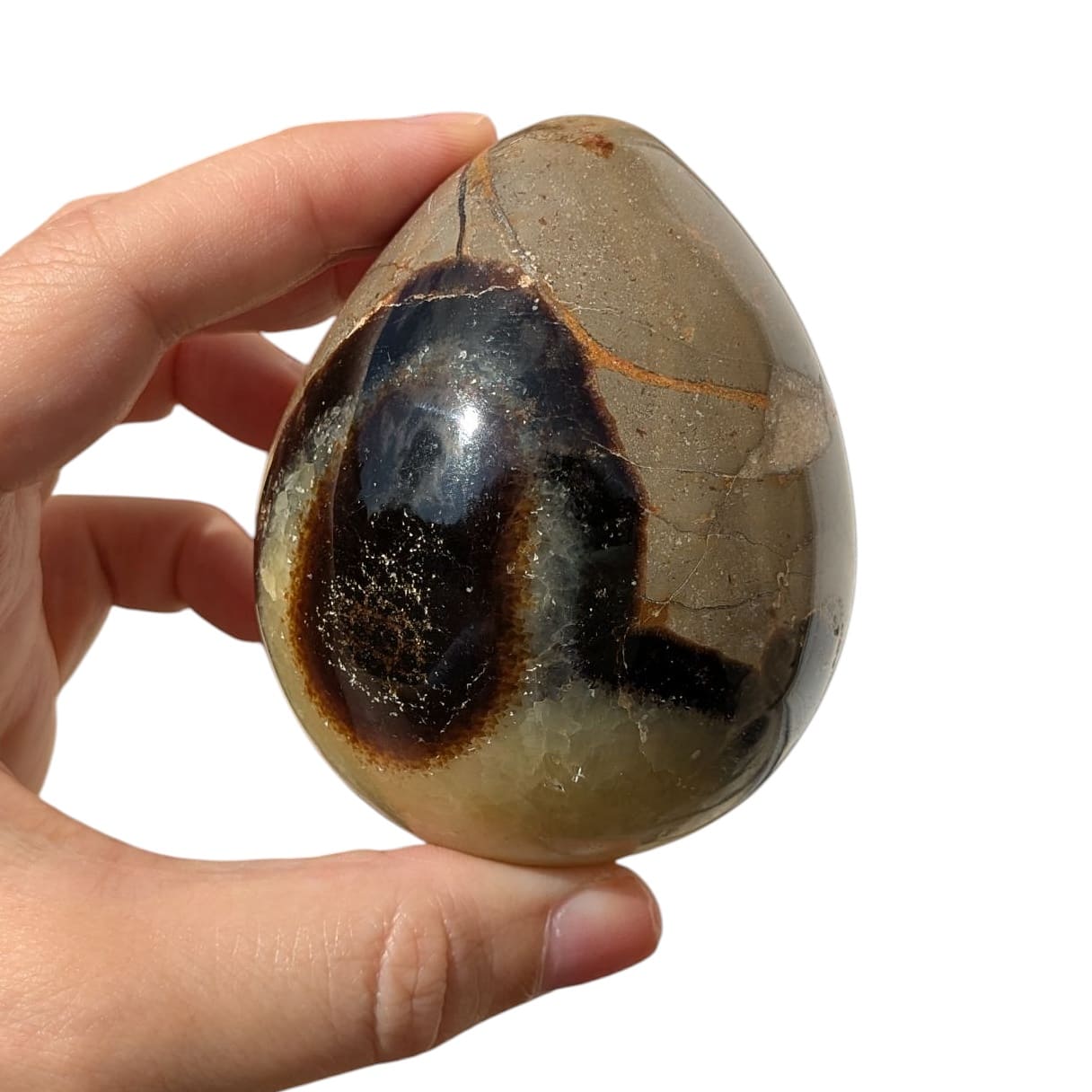 oeuf en pierre septaria