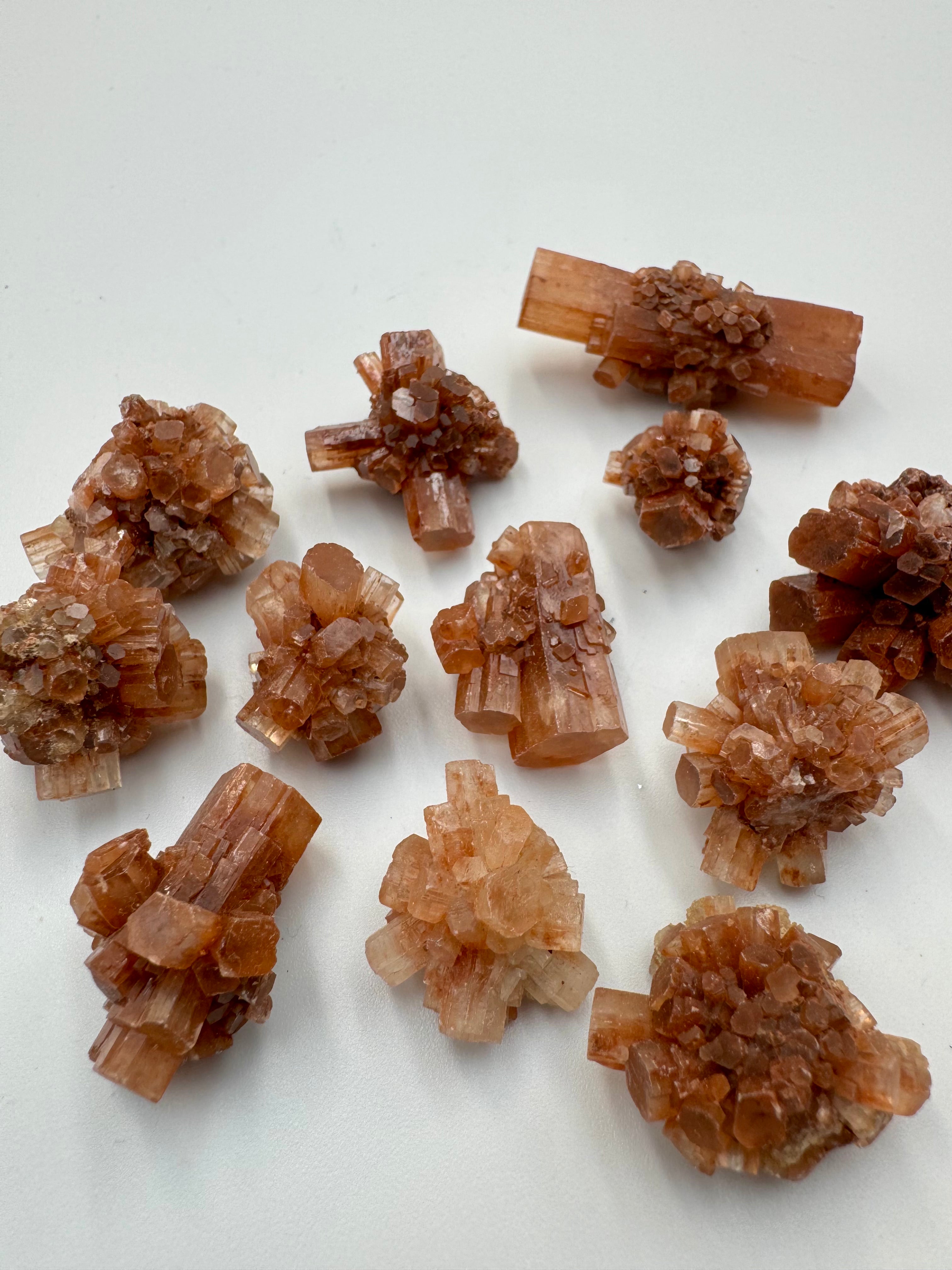 Lot 12 aragonites 2cm