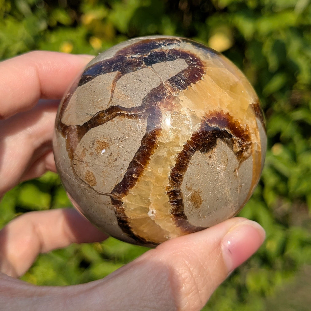 Sphère septaria