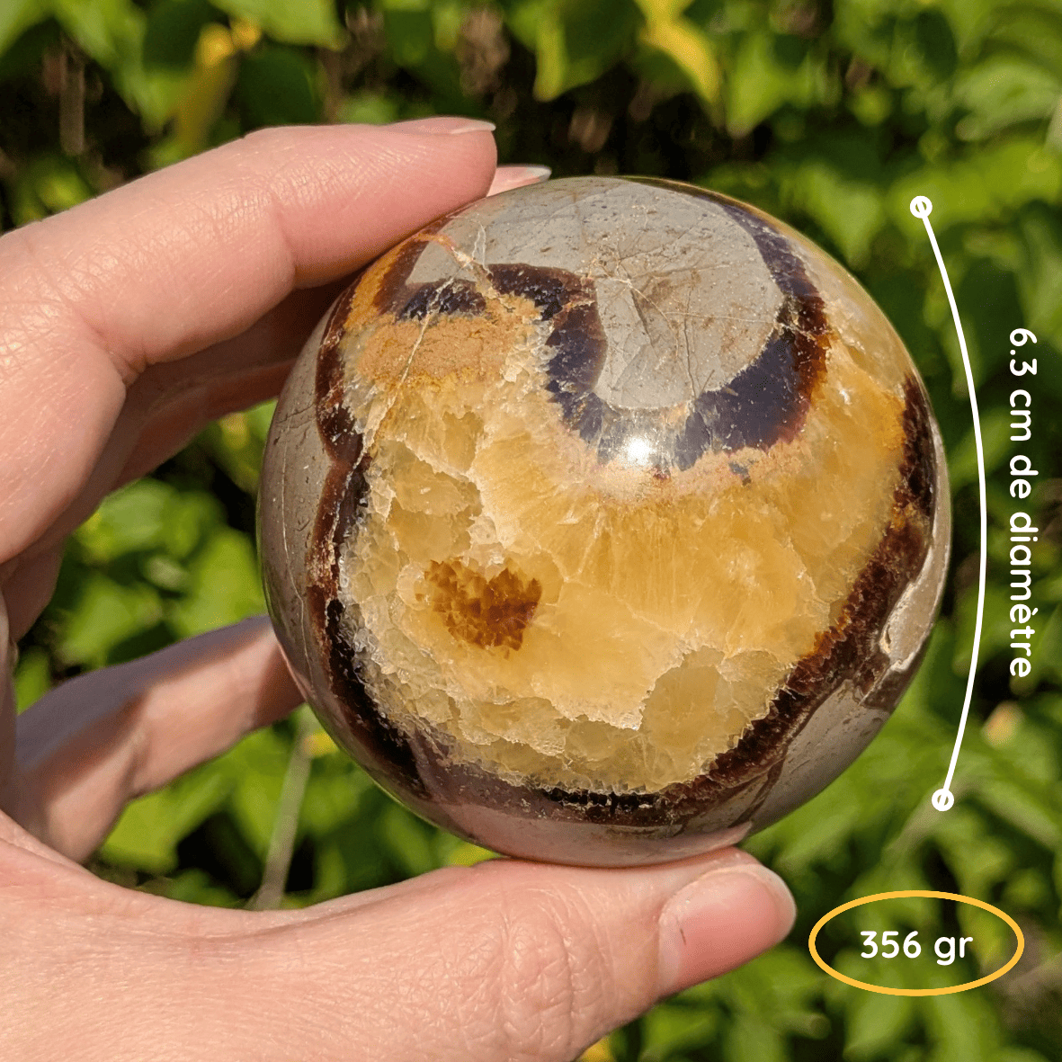 Sphère septaria