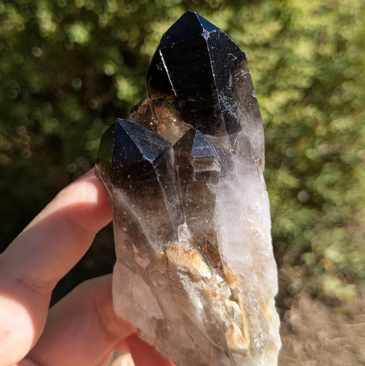 Amas Quartz fumé n°59