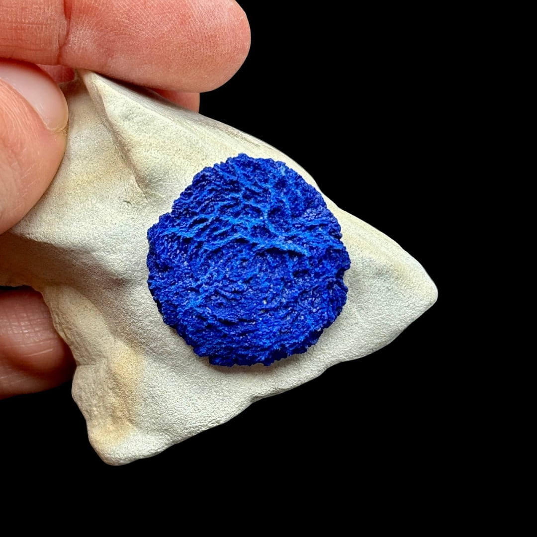 Azurite "Soleil" Solitaire sur Matrice Blanche - Australie #03