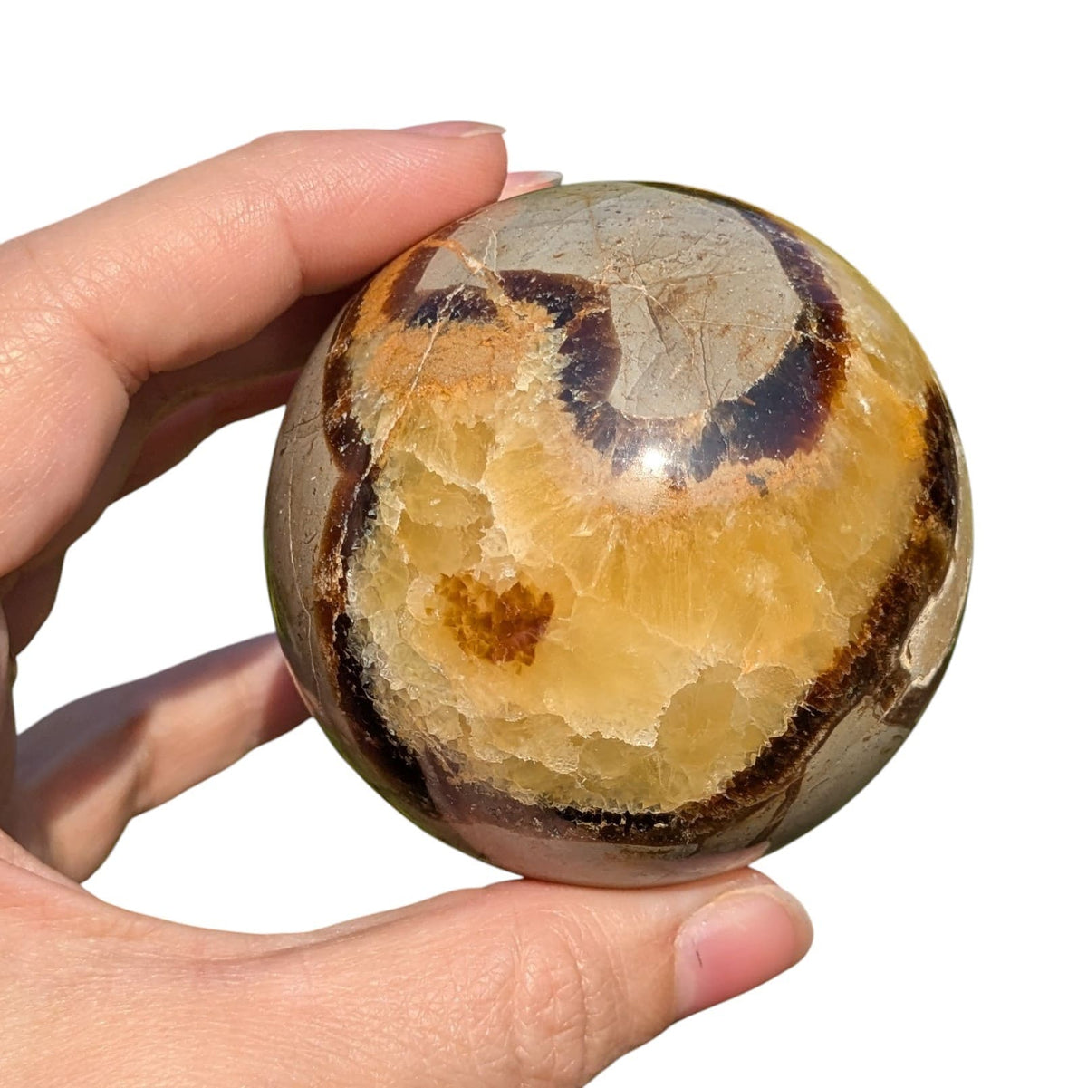 Sphère septaria